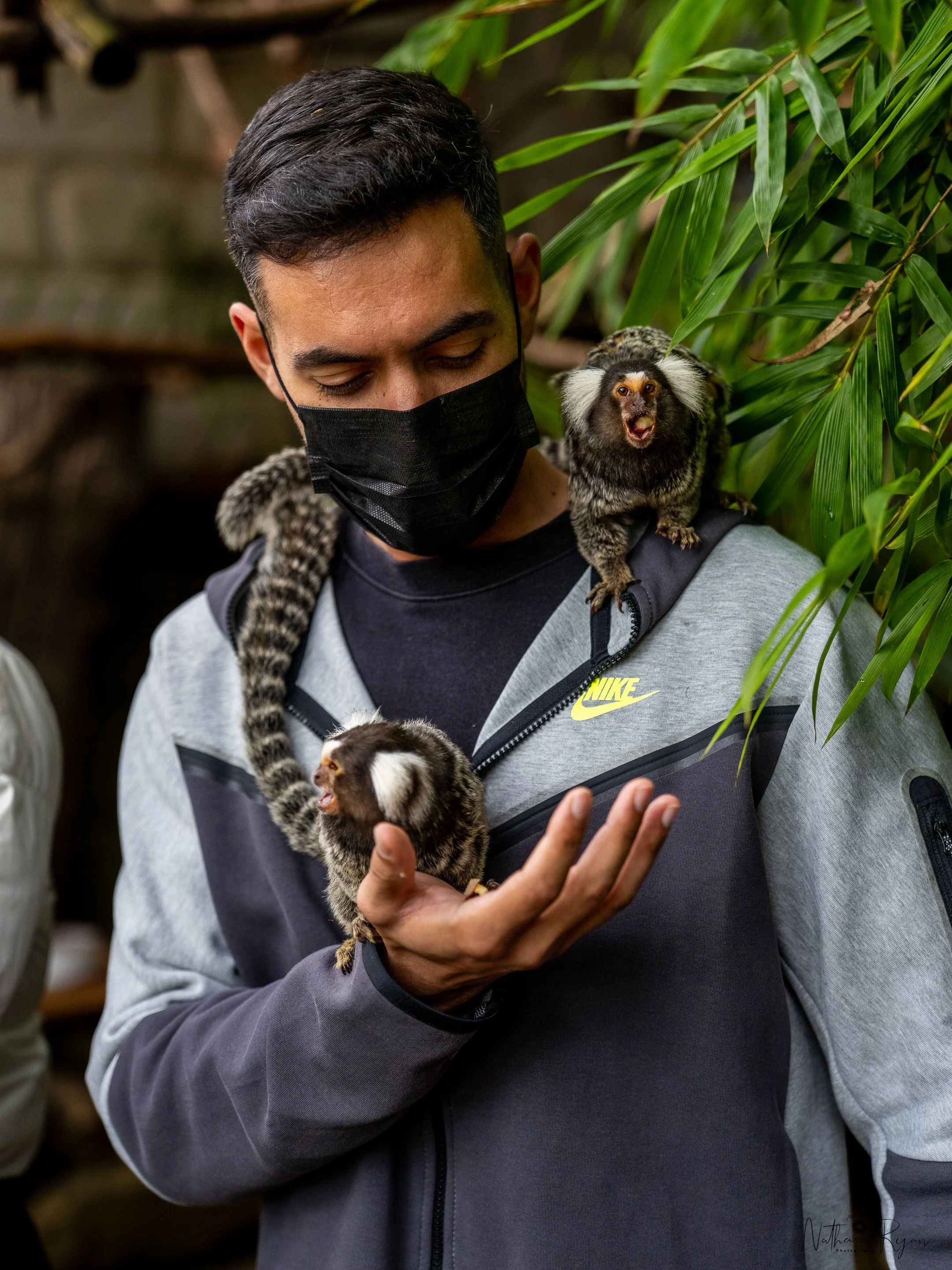 Guest enjoying a marmoset encounter