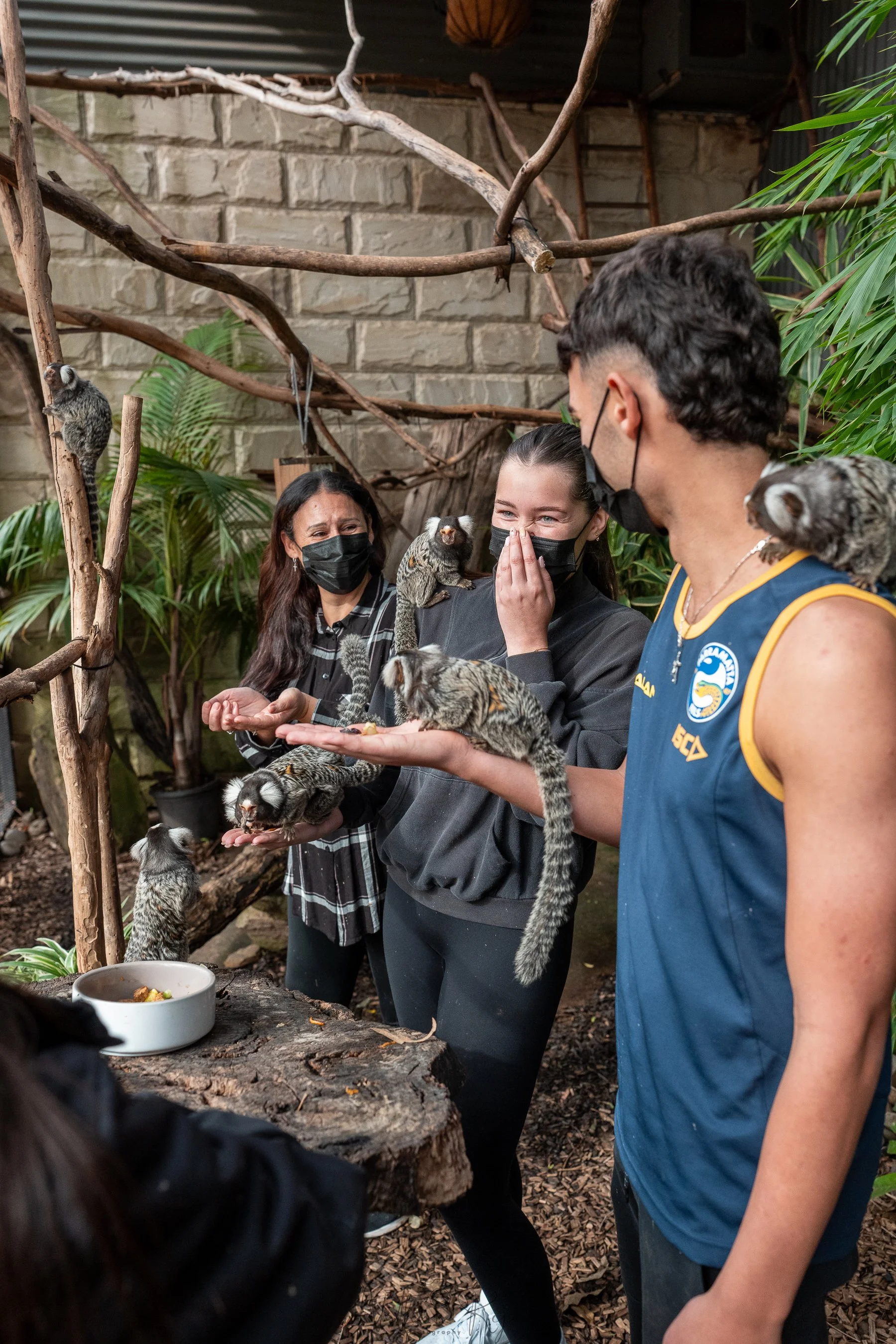 Marmoset encounter during guided tour at ZAMBI
