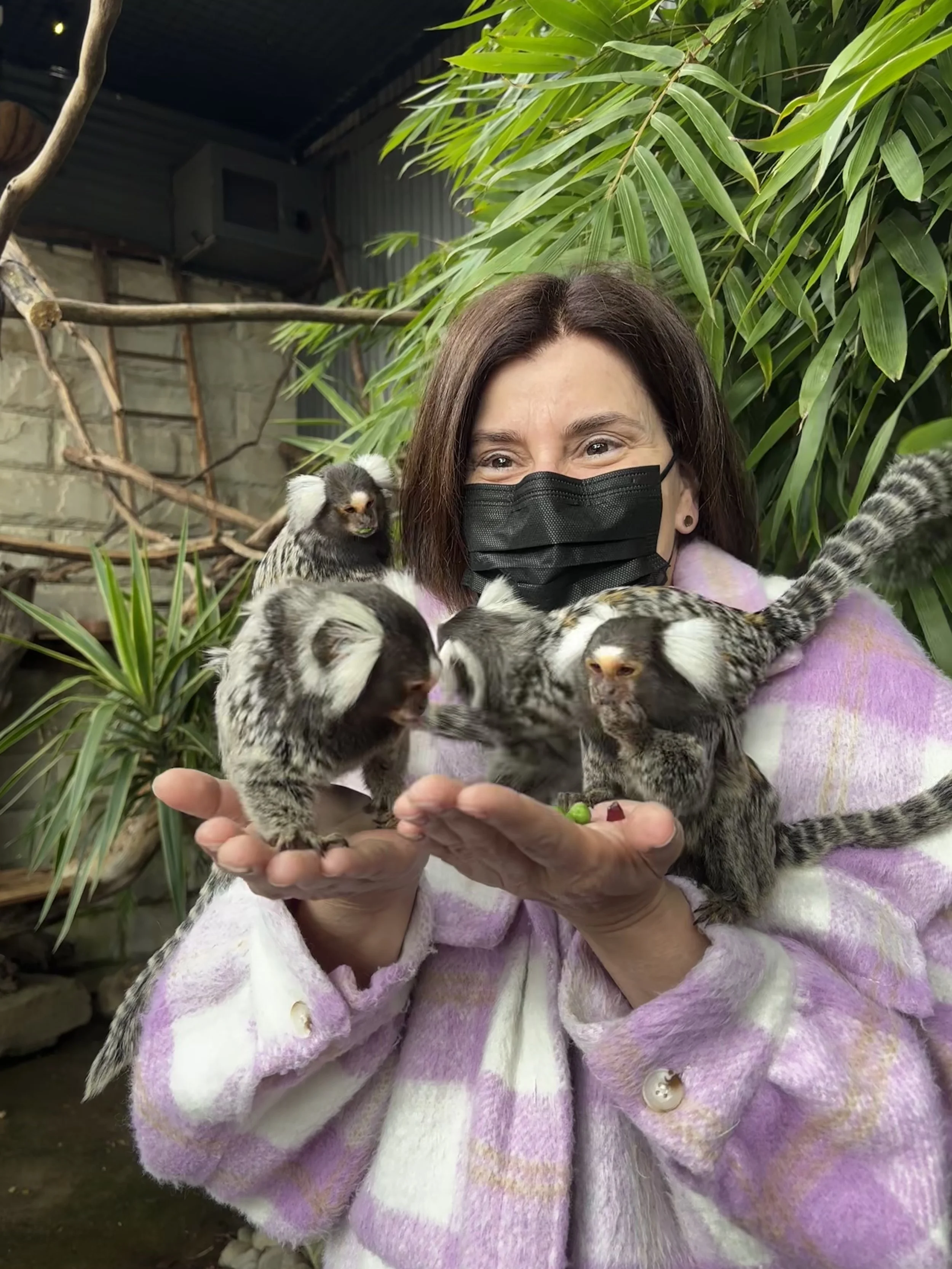 Guest enjoying a marmoset encounter
