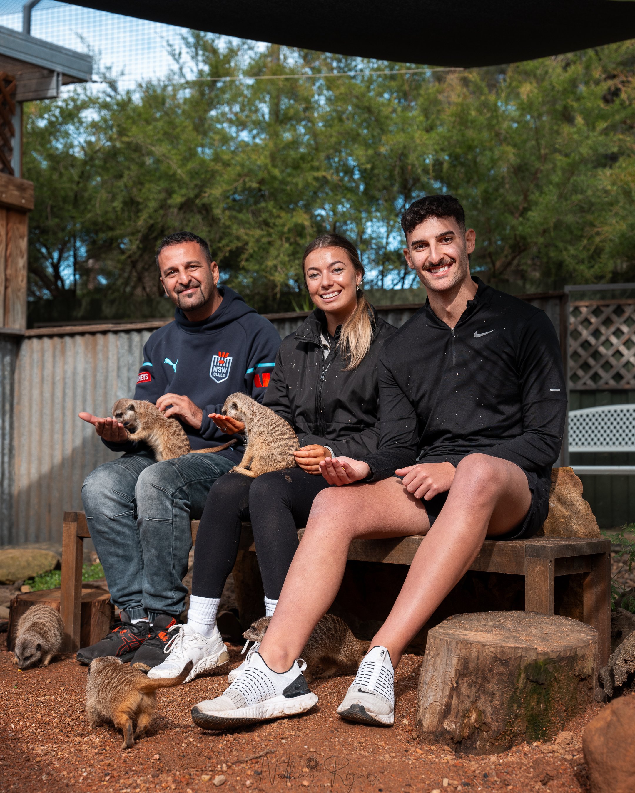 Meerkat encounter during guided tour at ZAMBI