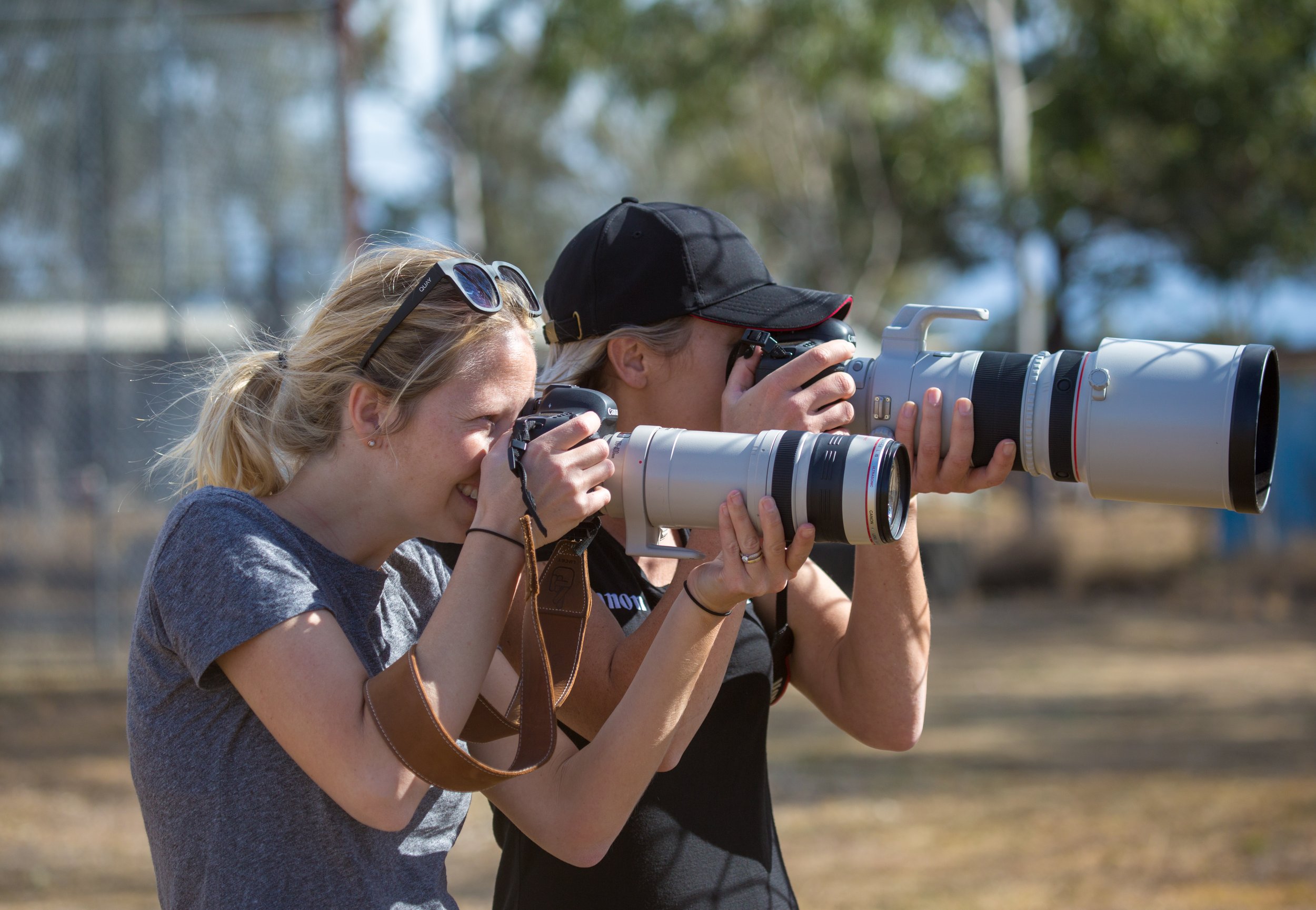Photographer capturing lion at ZAMBI Wildlife Retreat Sydney