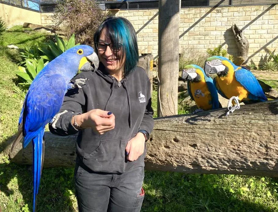 Keeper caring for sanctuary animals at ZAMBI