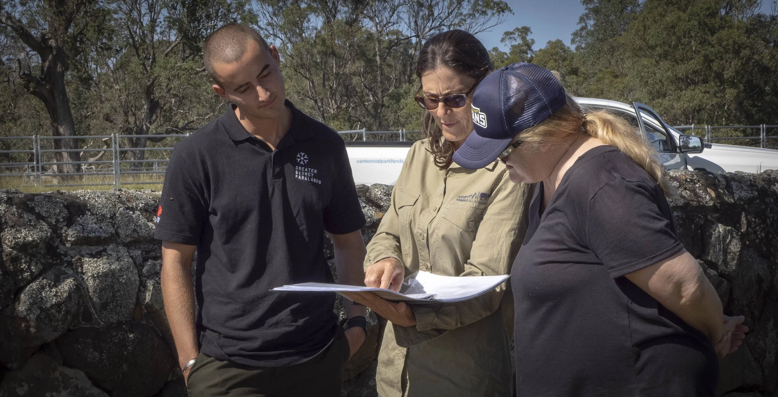 fernhill p horses (7 of 37).jpg