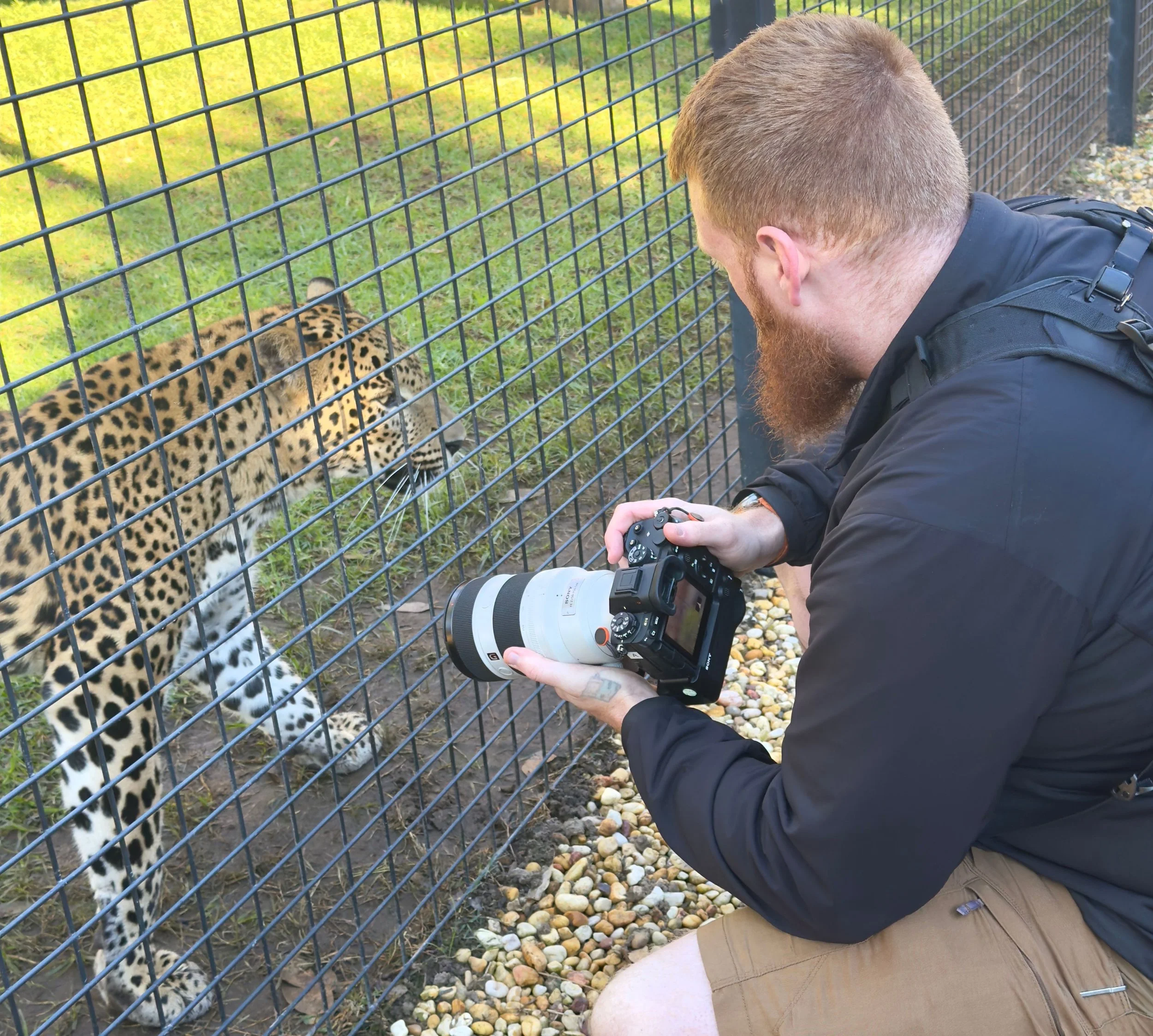 Photographer capturing leopard at ZAMBI Wildlife Retreat Sydney