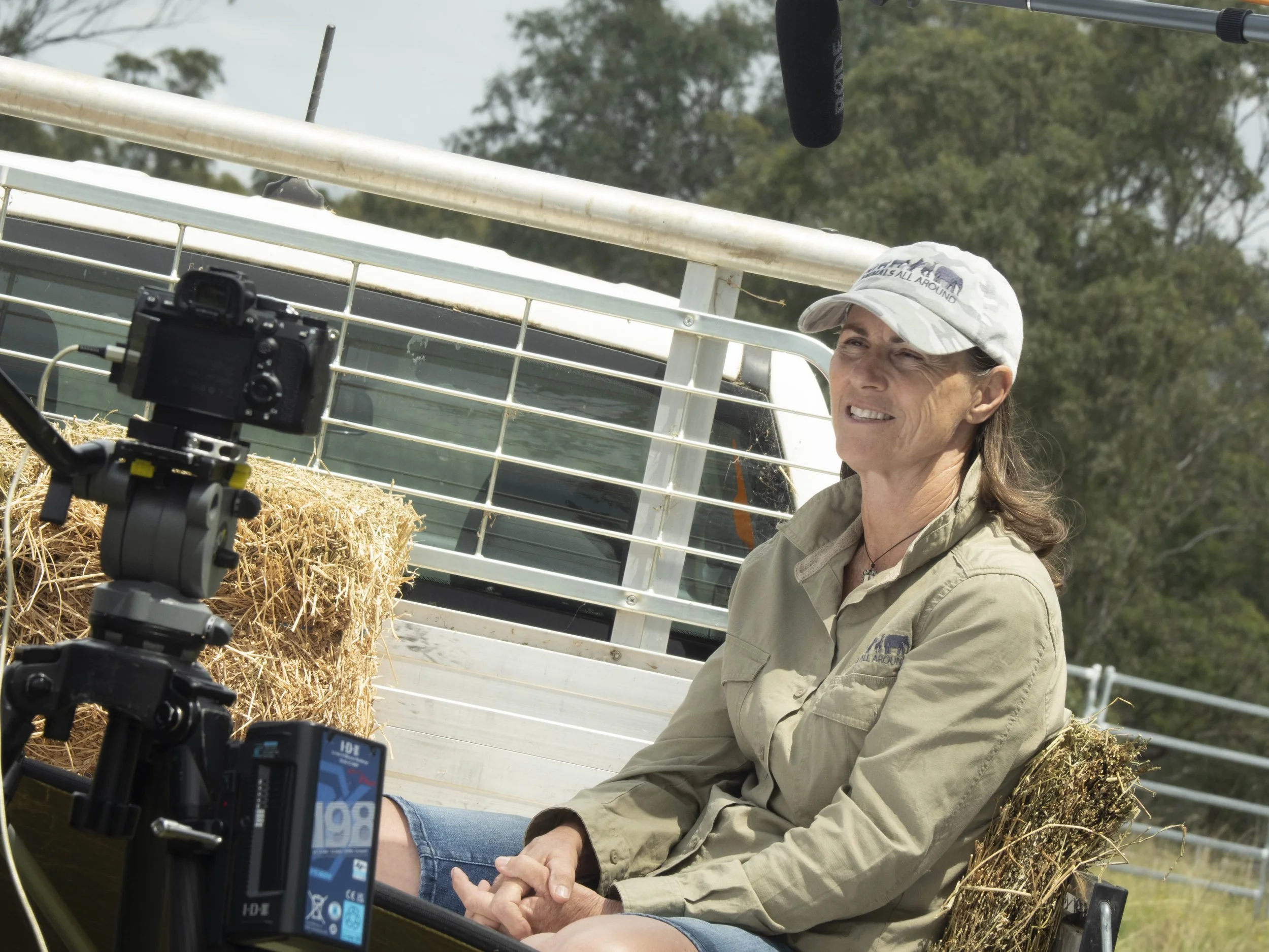 fernhill p horses (36 of 37).jpg