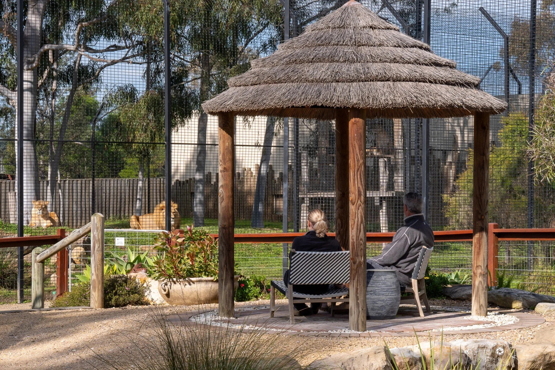 Gentle wildlife experience for seniors near Sydney