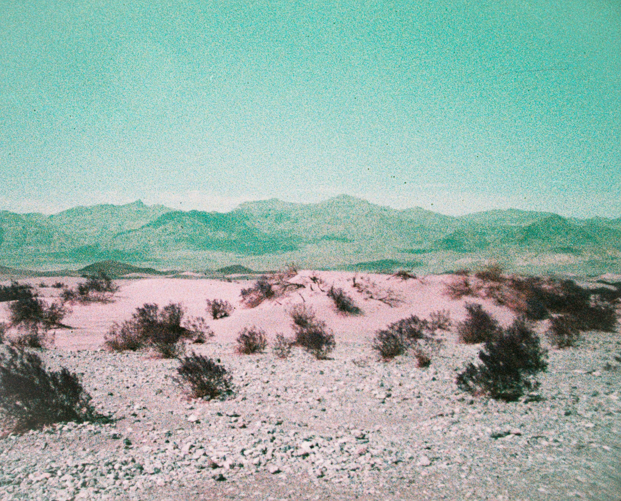 Personal | 2025 in Review: the year I learned to walk