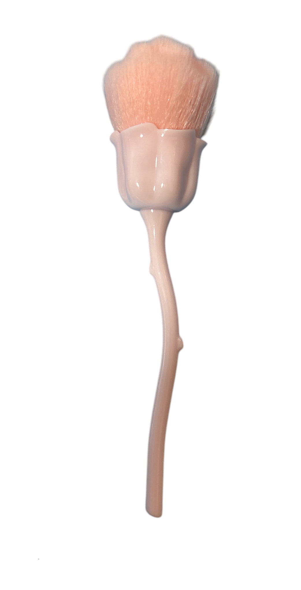 Dust Rose - Pink -Pink.jpeg