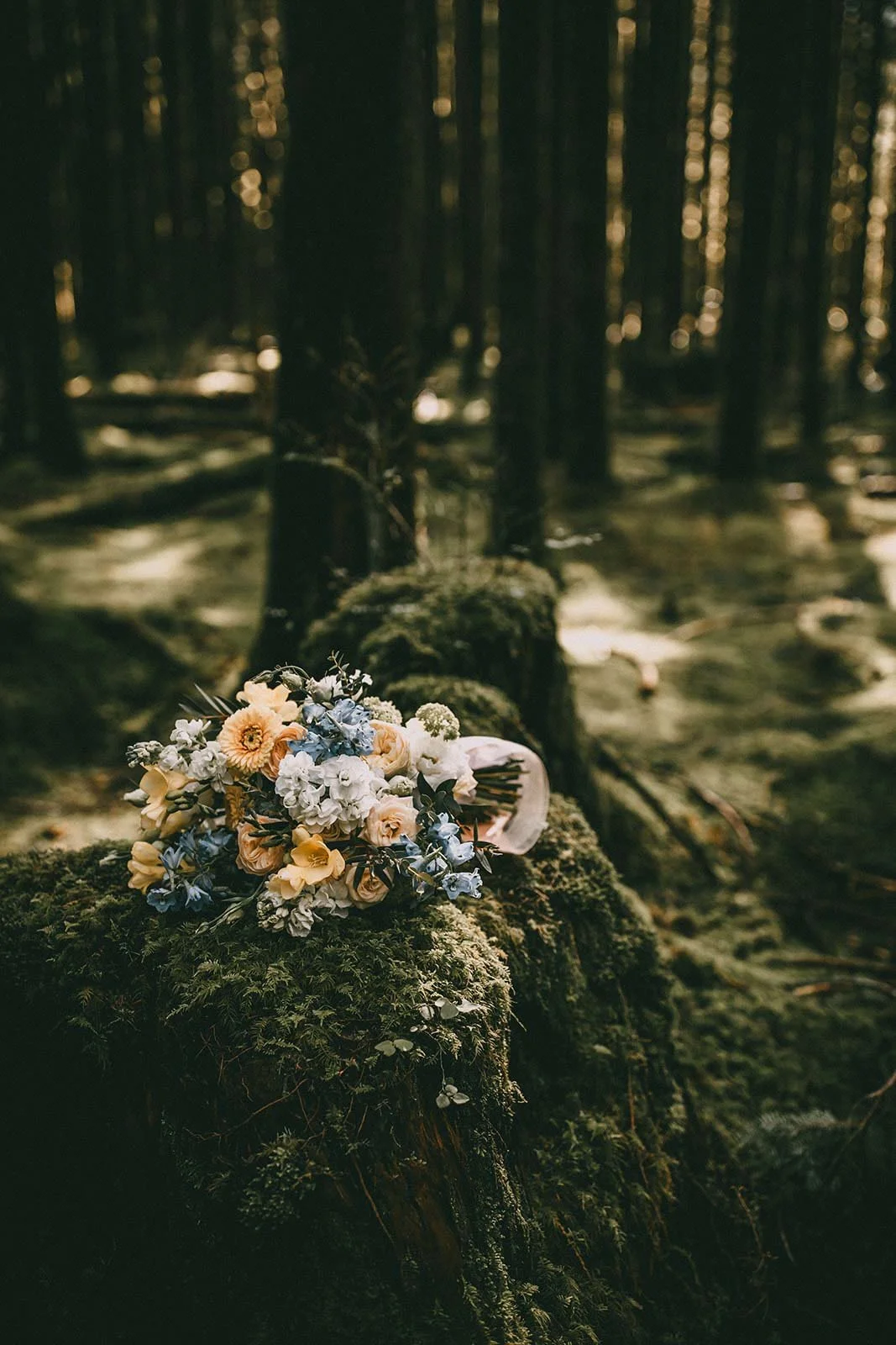 where to elope in vancouver