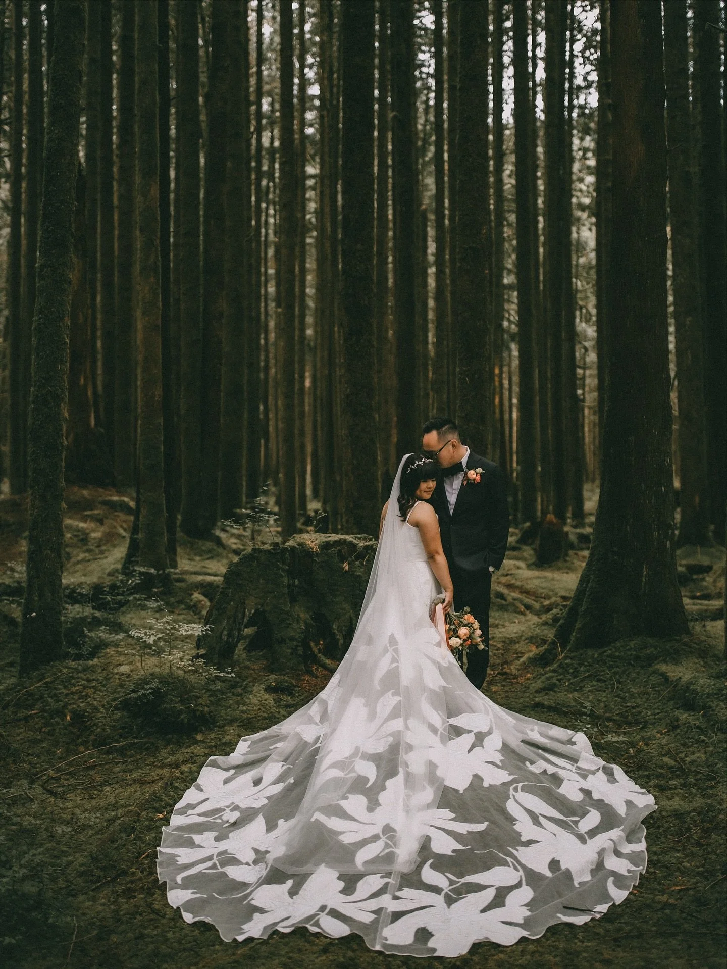 A perfect fall elopement in the forest, with a high chance of rain &amp; the park to ourselves. 🌲

@amandacoldicuttphoto 
@caitlinj_makeup 
@bridalbeginnings 
@lovenotebride