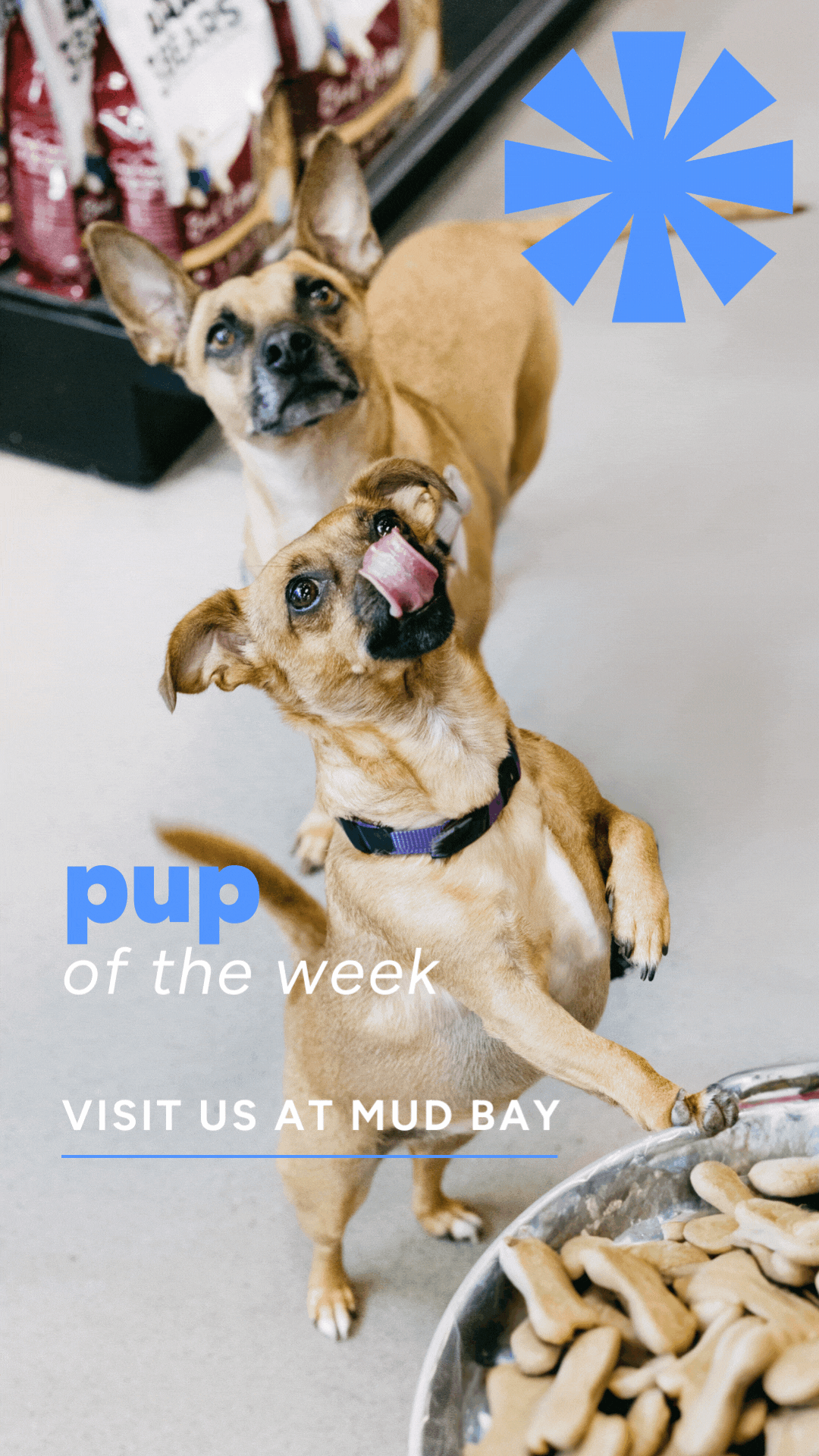 Tenant-photo (3).gif