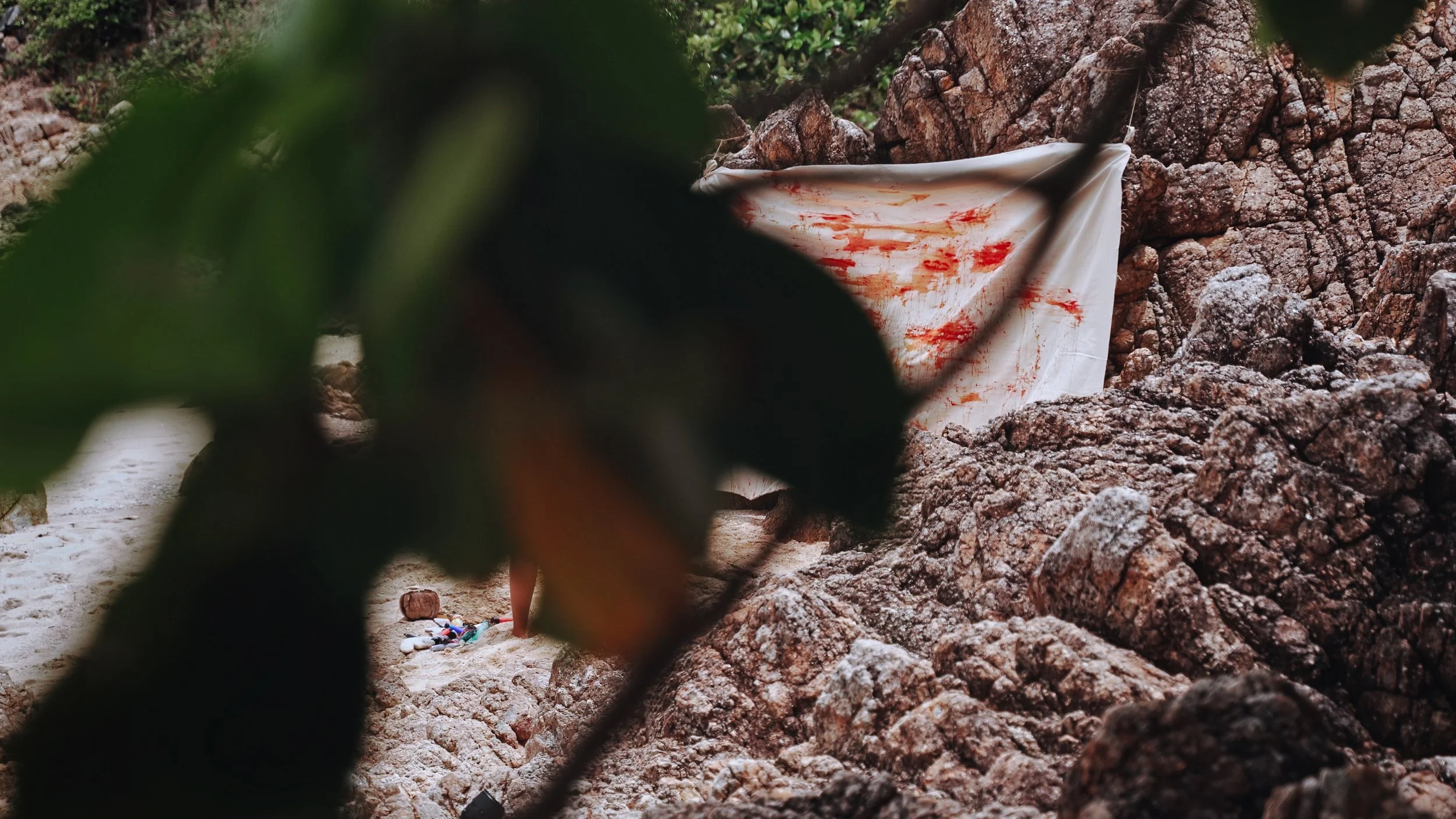 Timeline 1_01_22_50_00.jpg