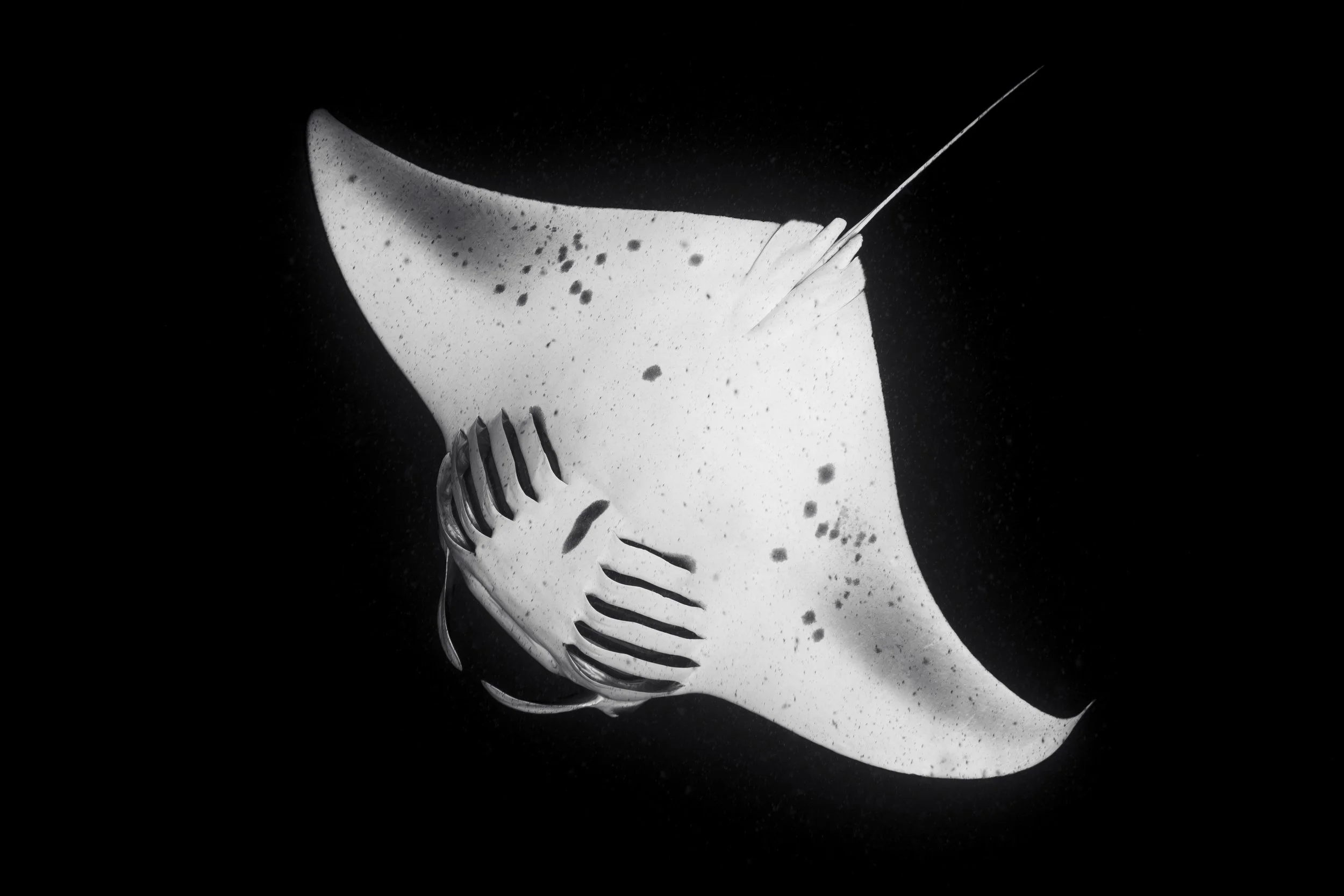 DSCF1792.jpg