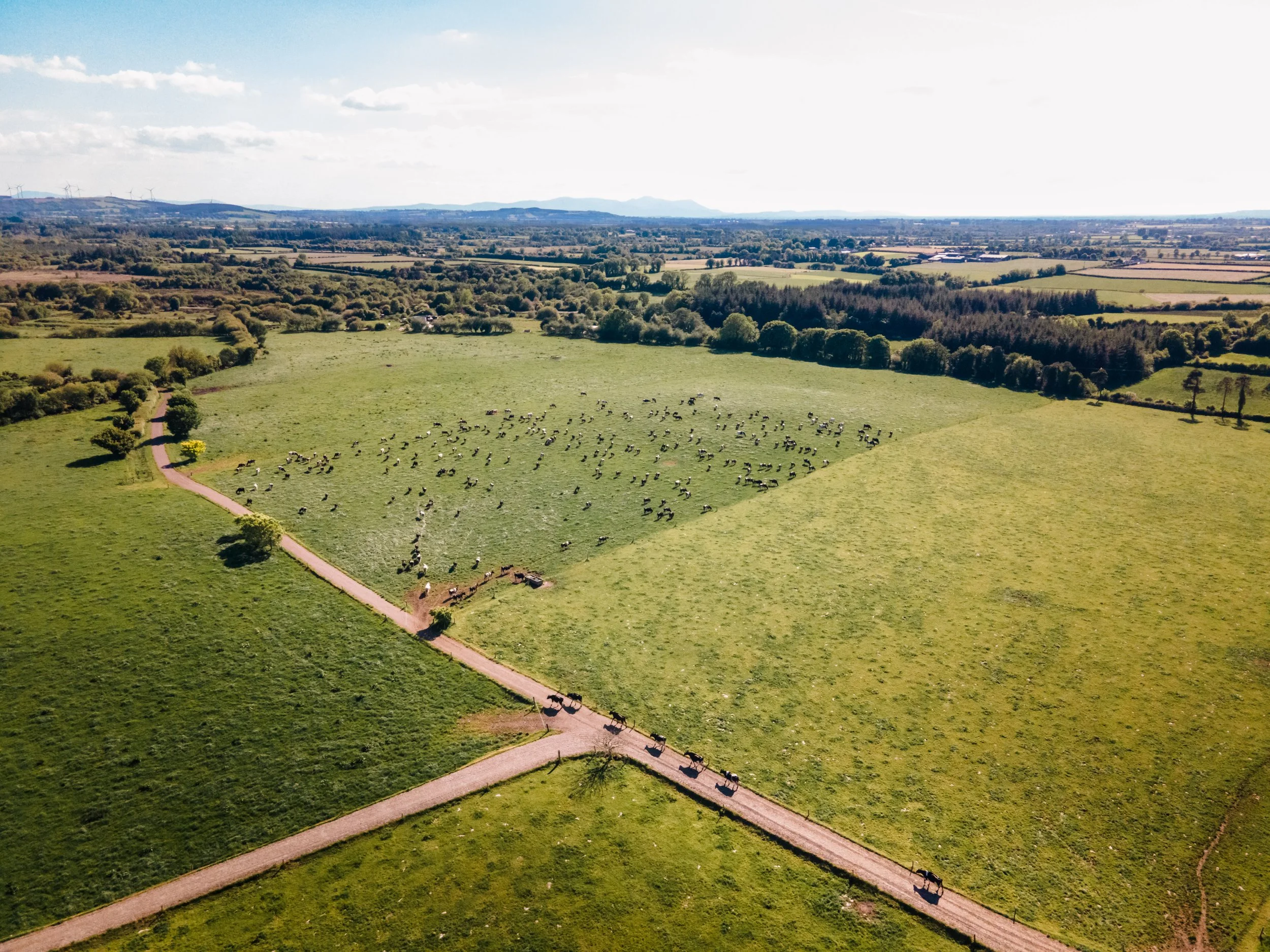 Drone Pano