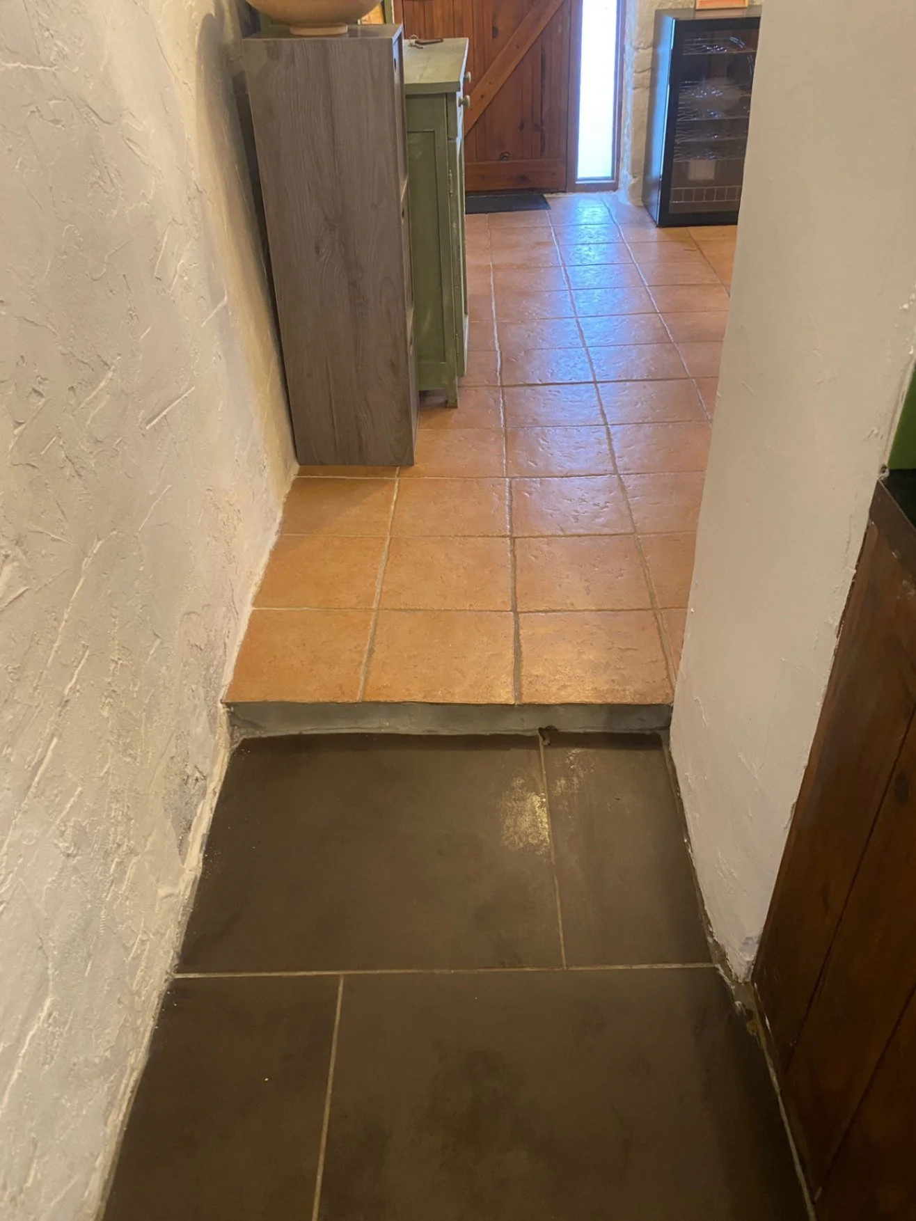 Small step into kitchen area from entrance/living area.