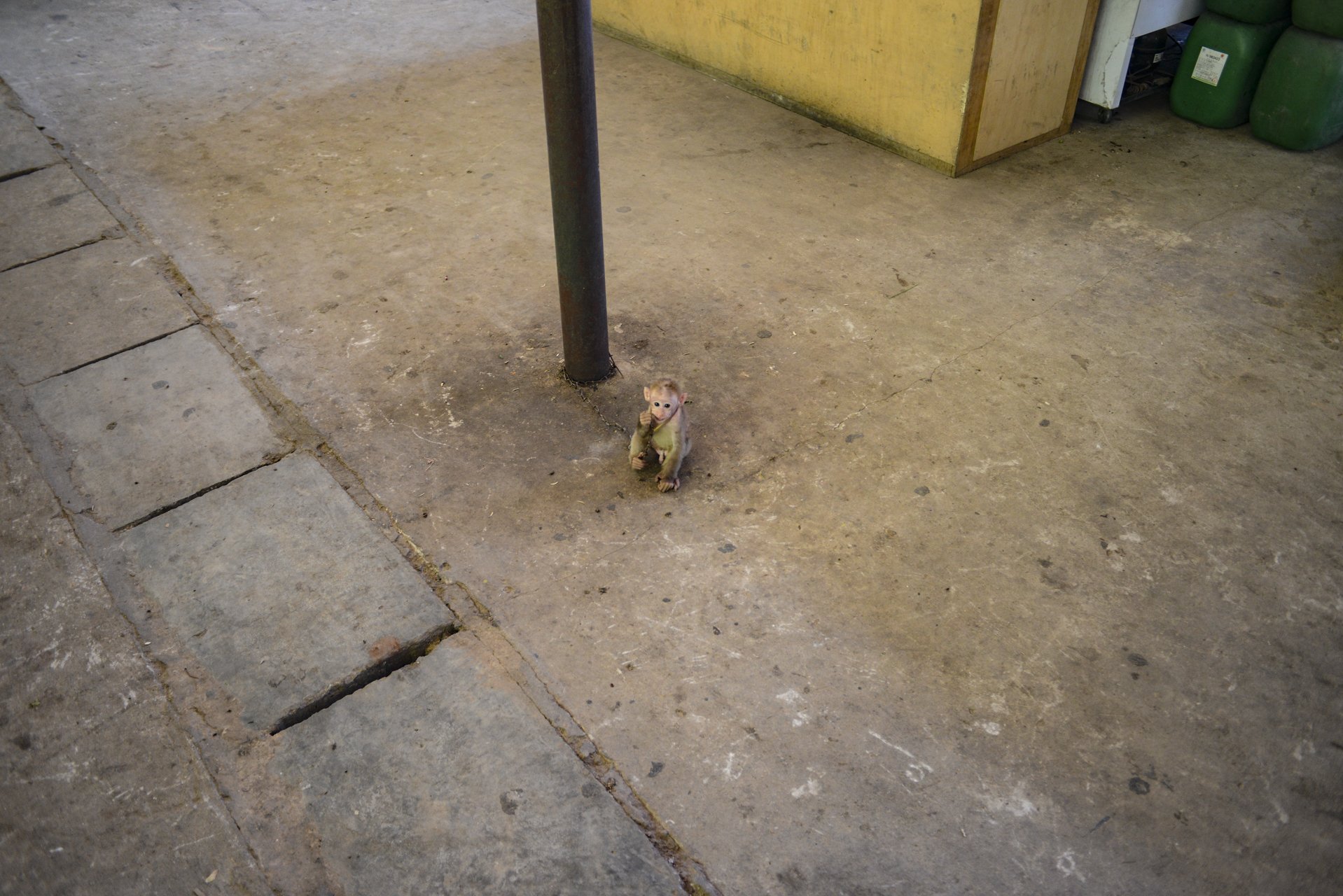DSC_1859.jpg