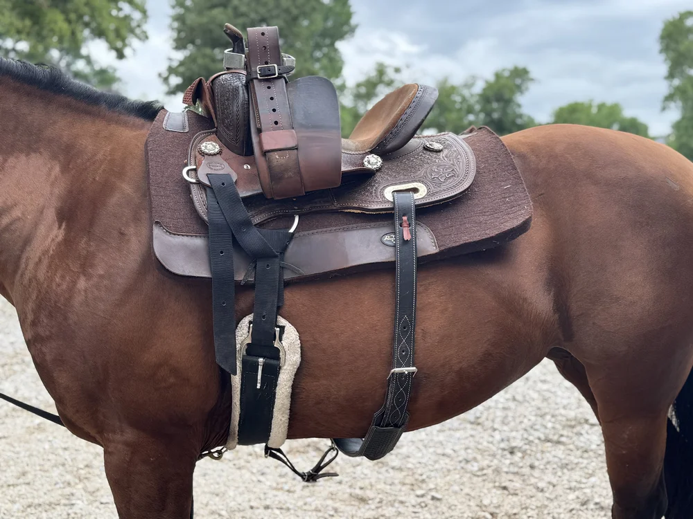 Girth and back cinch