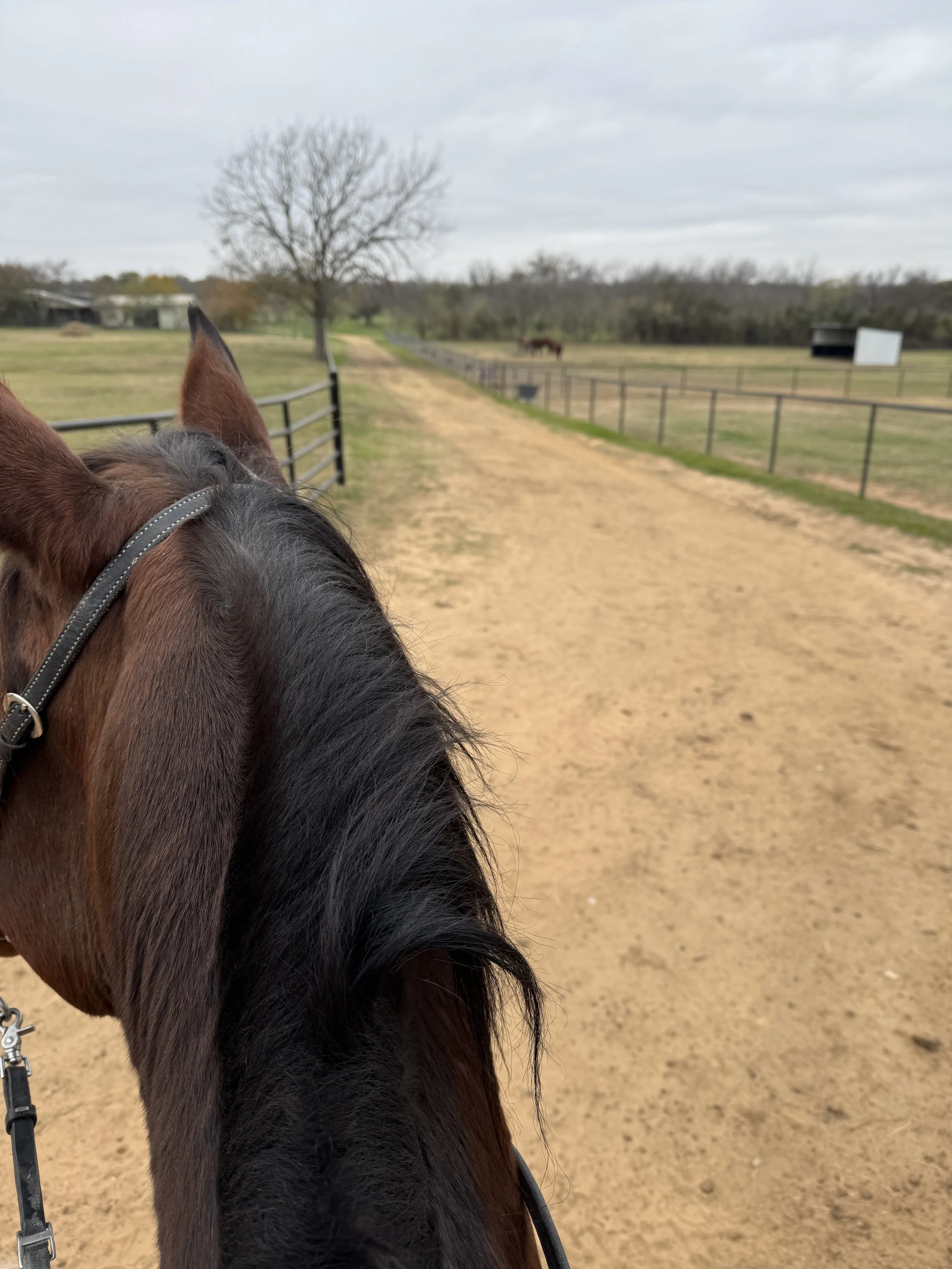 December 19, 2025: The Lane, the Opinions, and the Lessons