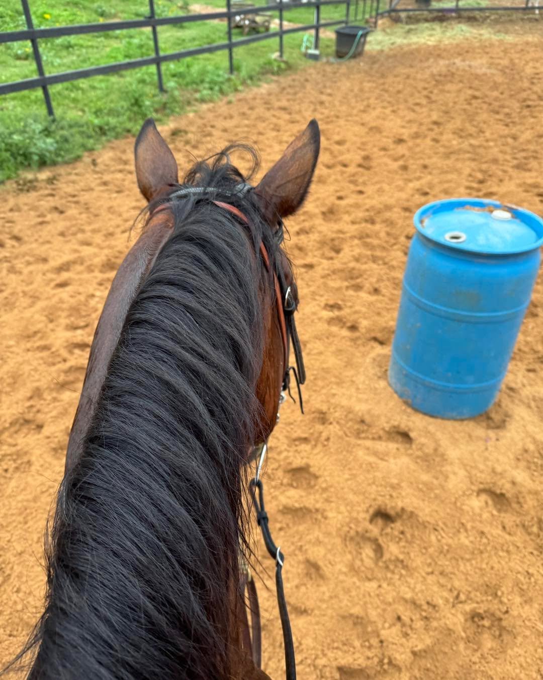 These two things make for a great start to the day!