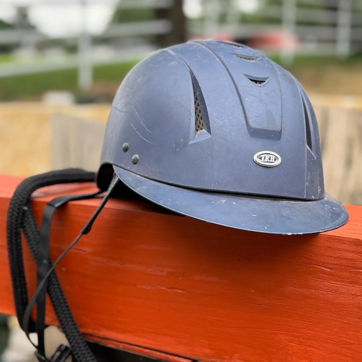 New to horse life? Tack catalogs can feel overwhelming, but Bee’s got you covered. Check out our latest Bonus Buzz where we break down the essentials and the extras that make riding safe and fun.
🐝 Read the full post on the blog: www.wisemark