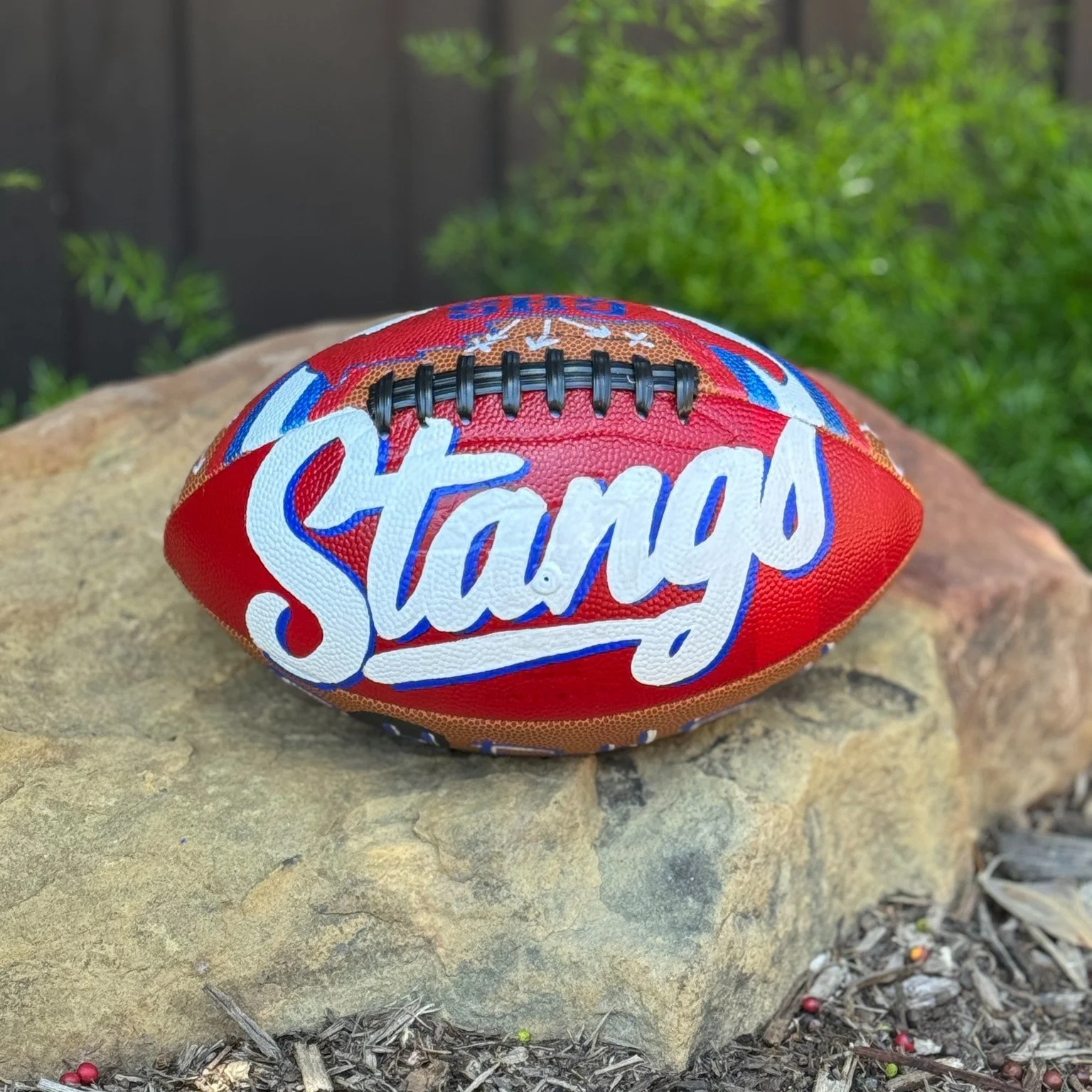 We’re halfway to the finish line on the Meet the Mustangs BBQ Kickoff & Auction… and our custom Mustang football is still up for grabs! π
This hand-painted piece is 100% unique and will be personalized for the winning bidder. Perfe
