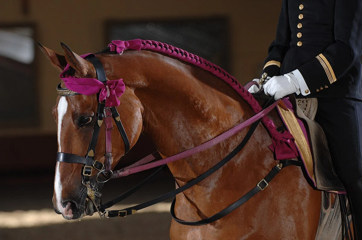 Braids are more than pretty. They are tradition, turnout, and horse hair care. In this week’s Buzz I cover who braids, how styles differ, and barn safe tips for strong, shiny manes and tails. Bee has not been braided yet, but her glam era is co