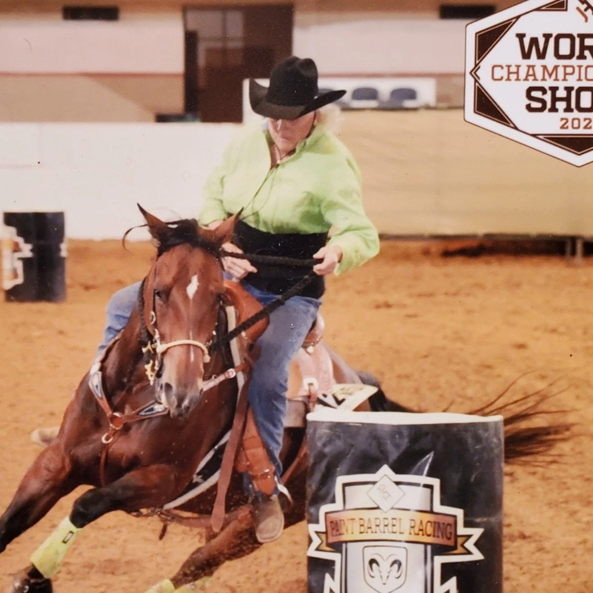 π Weekly Buzz with Bee π
This week Bee and I learned she’s probably a righty (smooth to the right, bumpy to the left), tackled some humbling training homework, and even picked up a new barn buddy.
Meet Calvin: the seasoned show horse with m