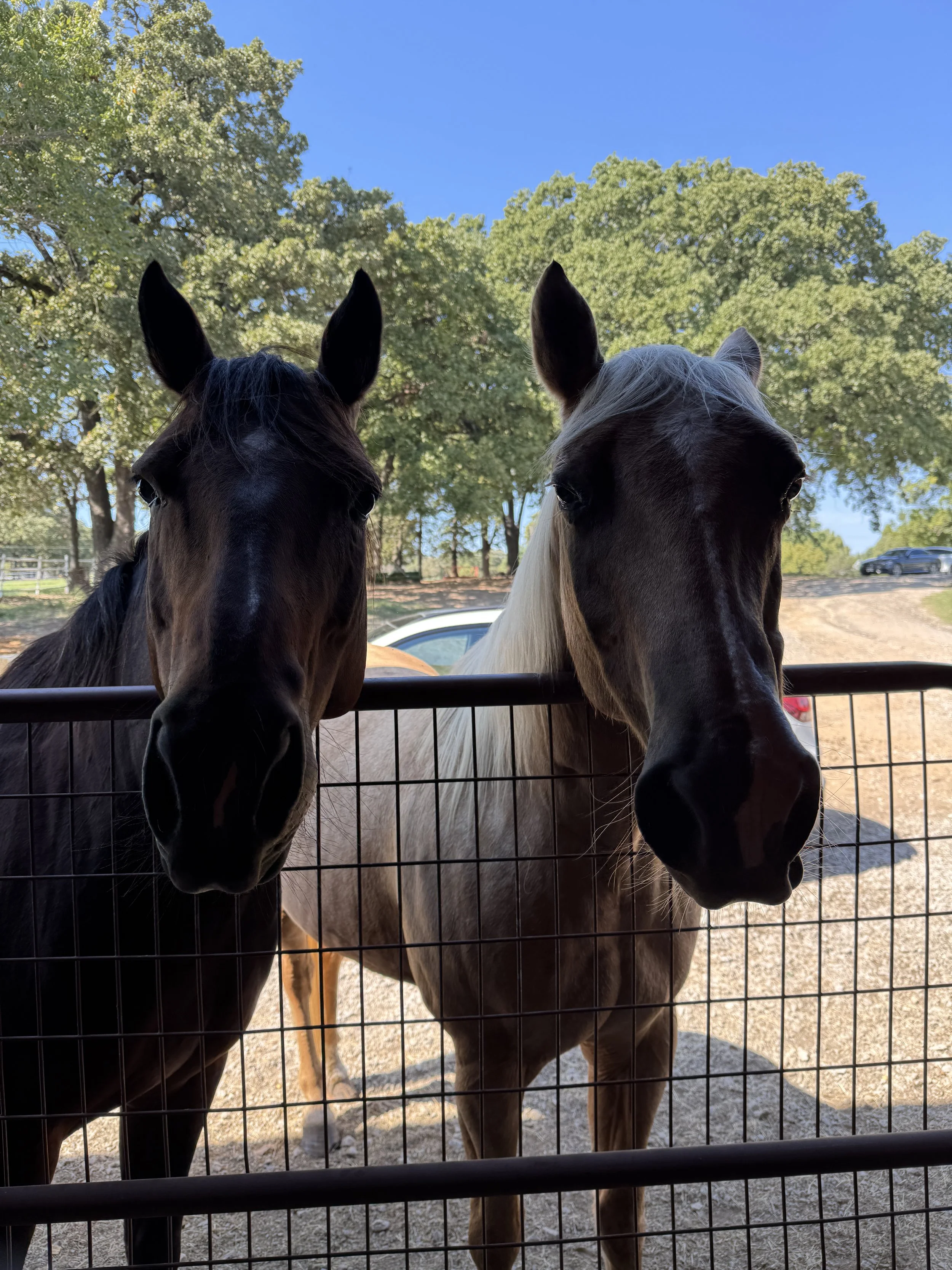 October 10, 2025: Cooler Rides and Family Tides