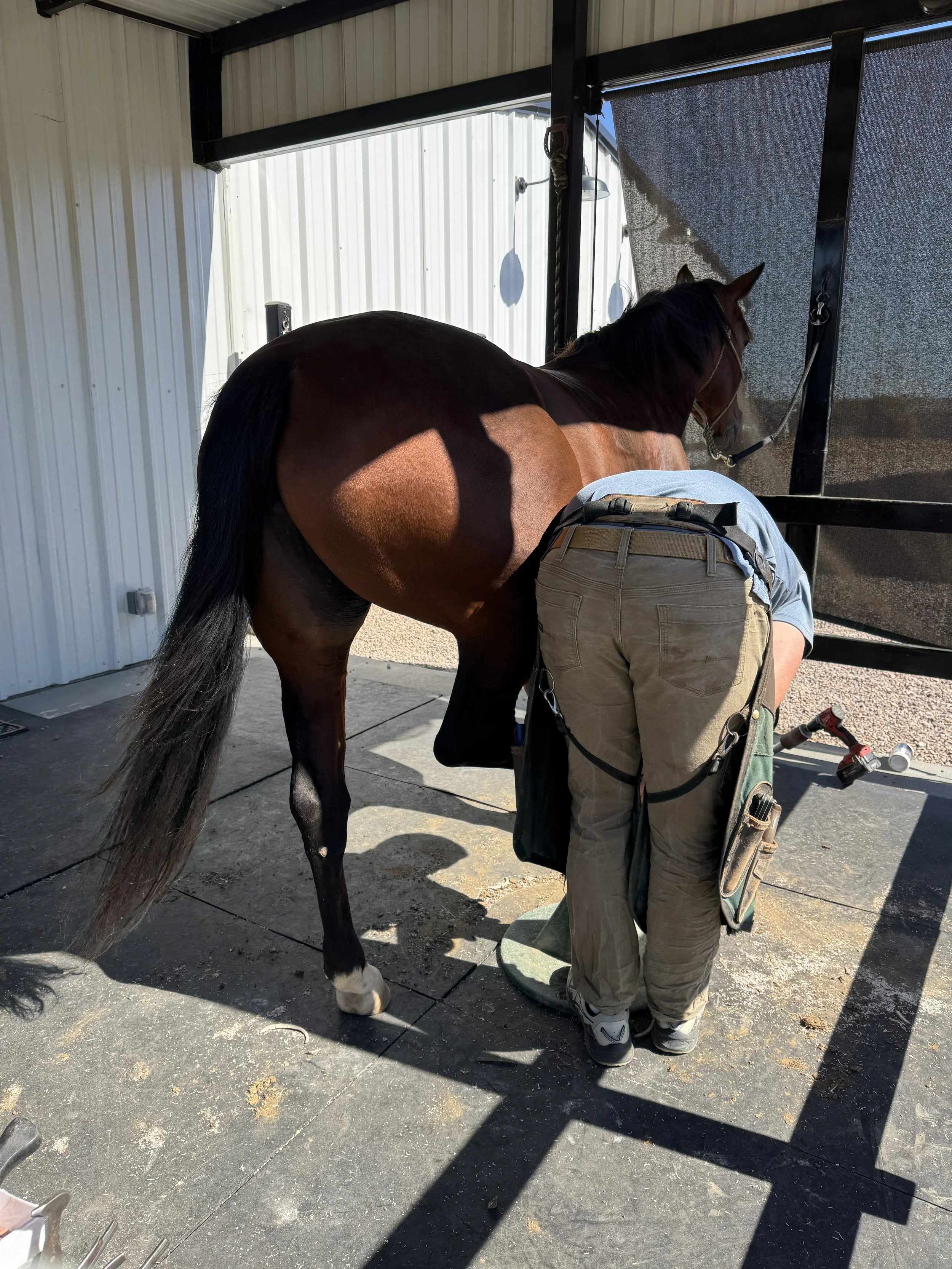 NGL thought this was funny