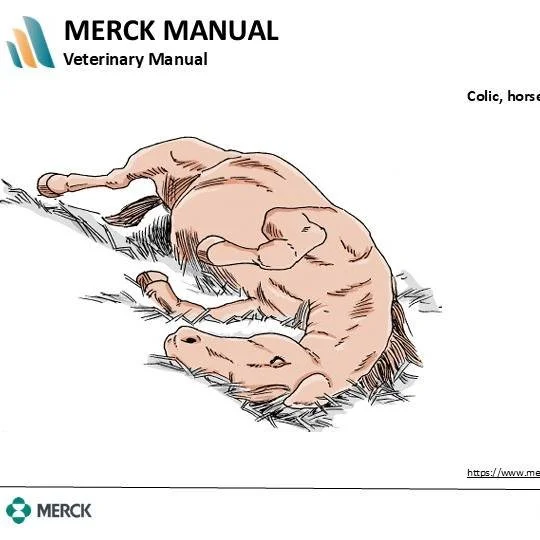 Cold snaps, crazy temps, and colicky horses &mdash; it has been a week at the barn.

In this Bonus, we are talking about what actually causes colic, how to spot early signs, and what your vet really does during a colic call. Practical, science-backed