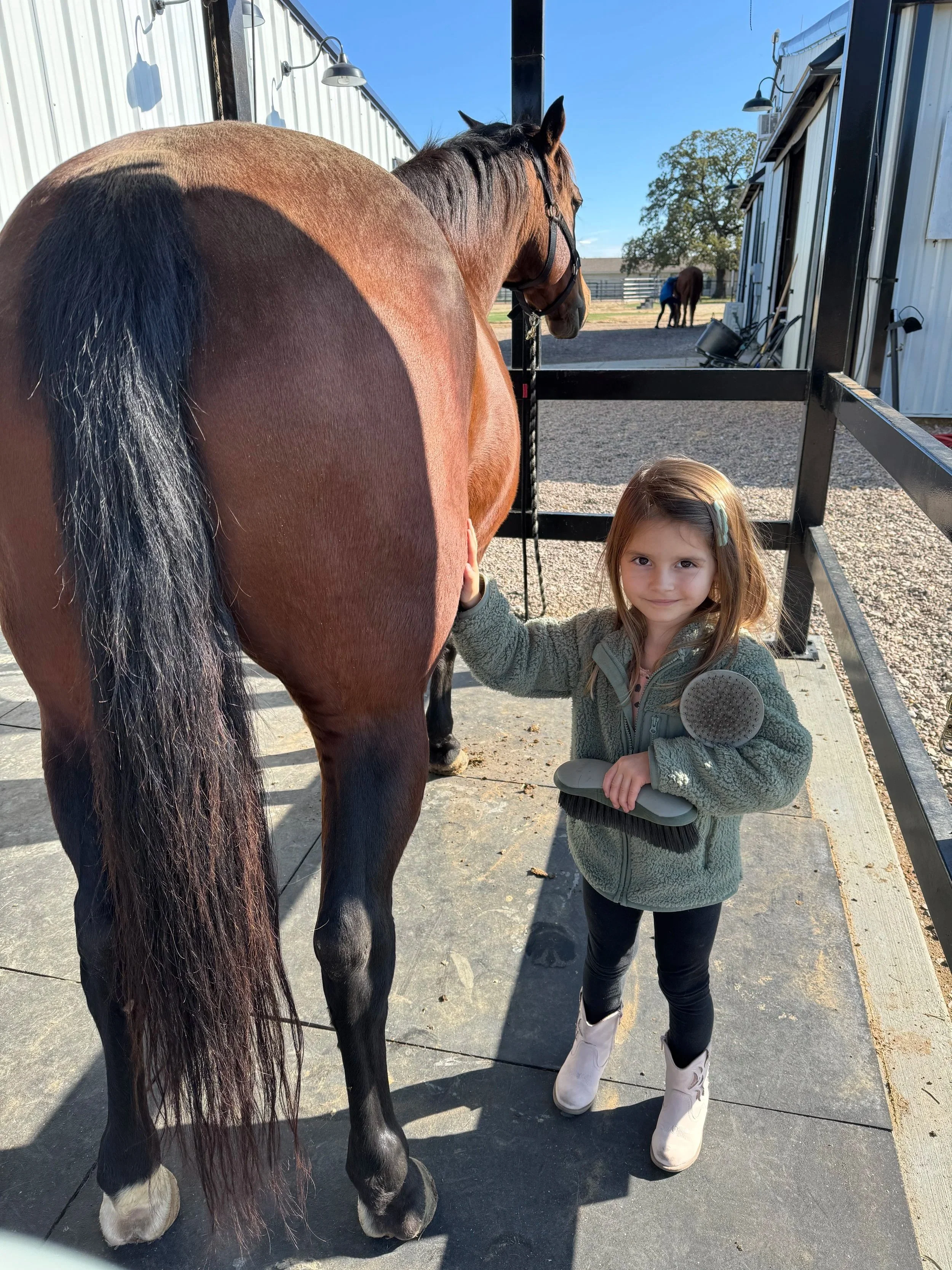 December 5, 2025: Thanksgiving Carrots and a Special Cowgirl
