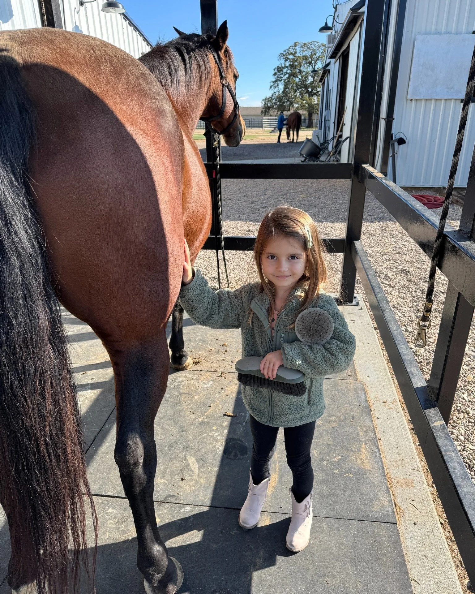 Thanksgiving at the barn looked a little different this year, and Bee loved every minute. From spa-day grooming to a five pound carrot feast to Henley&rsquo;s fearless cowgirl moment on Bee&rsquo;s back, our short visits were packed with joy.

Catch 
