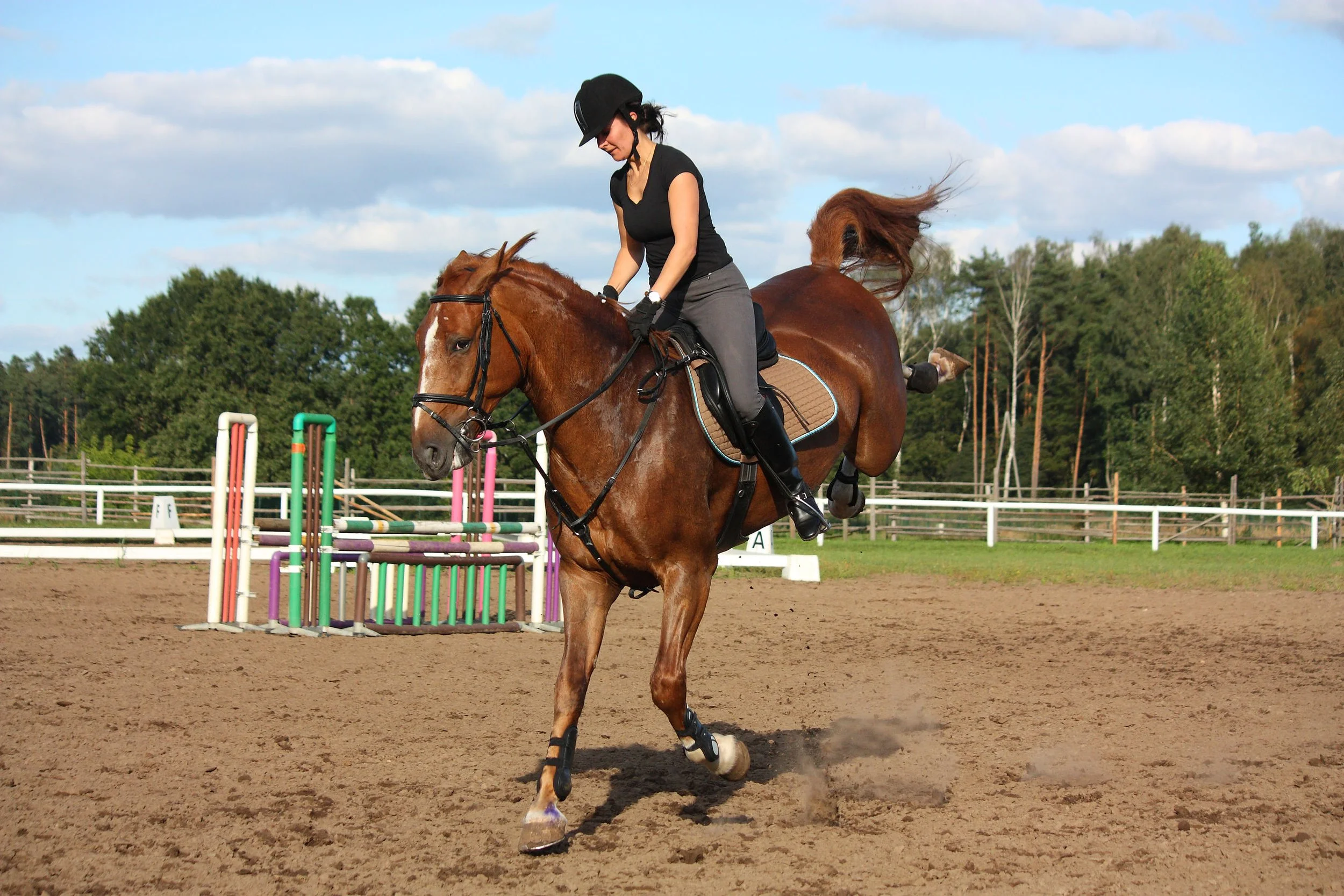 January 9, 2026: Emergency Dismounts, Spooks, and Riding Through the Scary Stuff