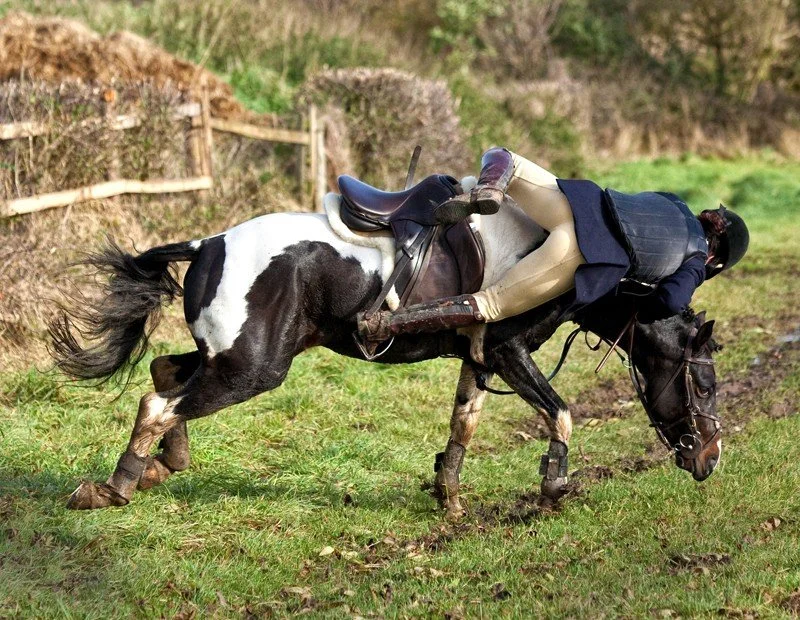 This week&rsquo;s Weekly Buzz with Bee is all about spooks, emergency exits, and why preparation beats panic every time.

If you have ever felt a horse flinch, hesitate, spin, rear, or suddenly question your life choices, this one&rsquo;s for you.

R