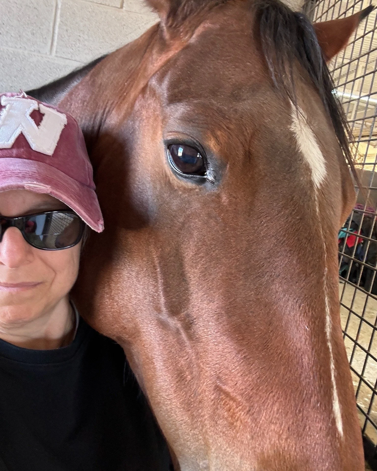 One year ago today, this mare became mine.
I thought I knew what I was getting into. Turns out, I didn&rsquo;t even know what I didn&rsquo;t know.

This past year has been equal parts joy, humility, growth, frustration, laughter, and learning. Bee ha