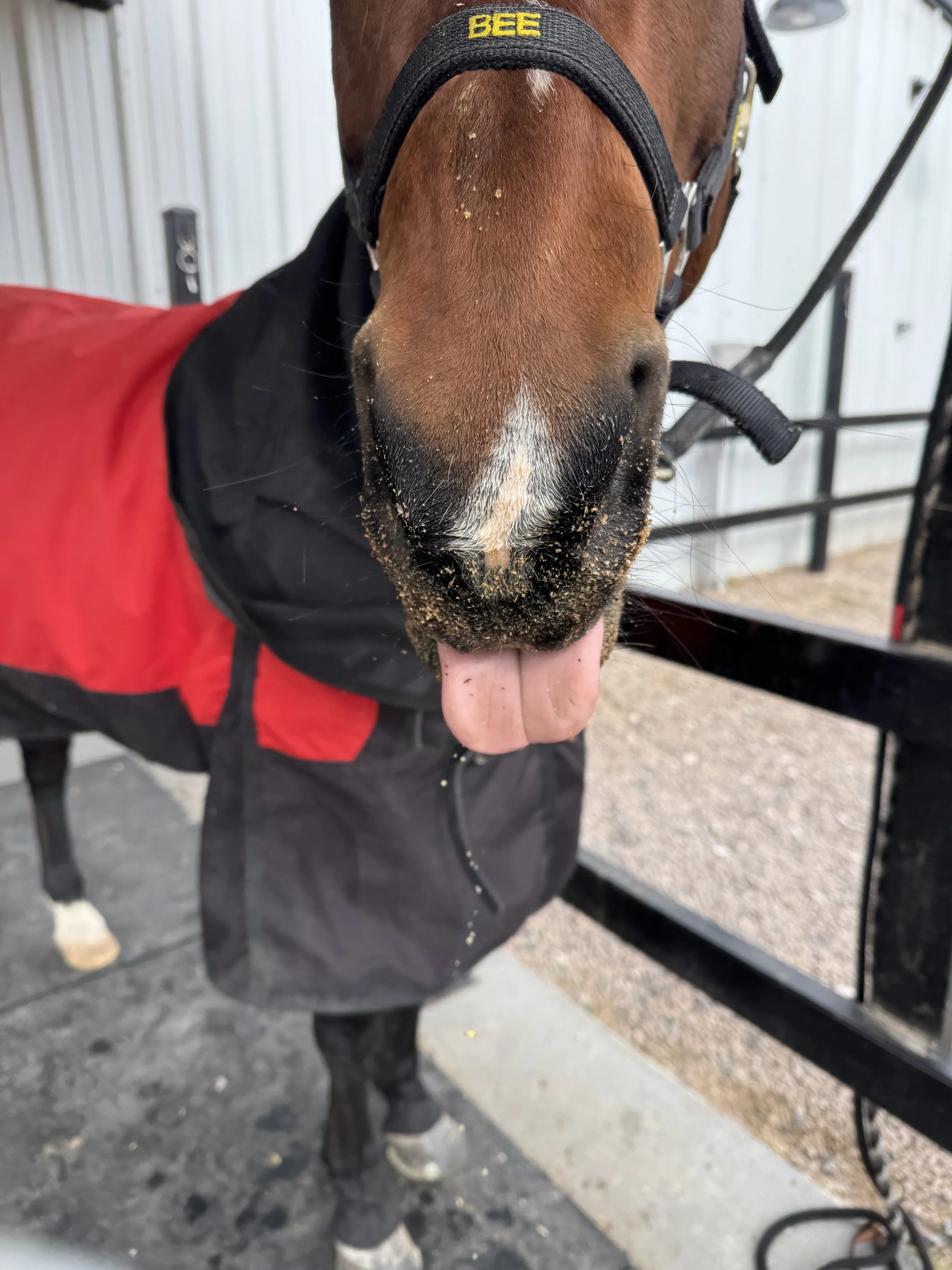 January 23, 2026: Shoes, Stretchy Tendons, and Blanket Crimes