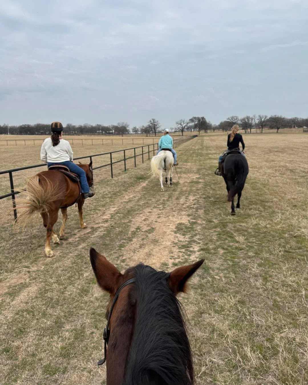 Three calm miles at 2.7 mph.

Then 21 seconds at 20.9 mph.

Open gate.
Emergency dismount.
CT scan.
Mild concussion.
A whole lot of humility.

This week&rsquo;s Weekly Buzz is raw. Honest. A little embarrassing. A little funny. Very real.

Do I train