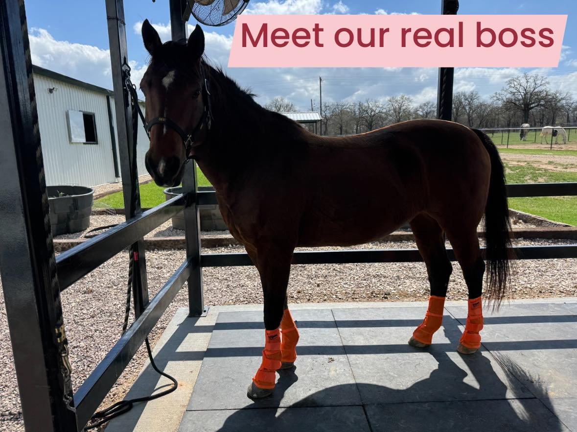 Do you know our business has a really cute employee?

No, I&rsquo;m not talking about me.

I&rsquo;m talking about Bee.

She specializes in morale, quality control, and reminding me to take snack breaks. She also insists on being present for most bra