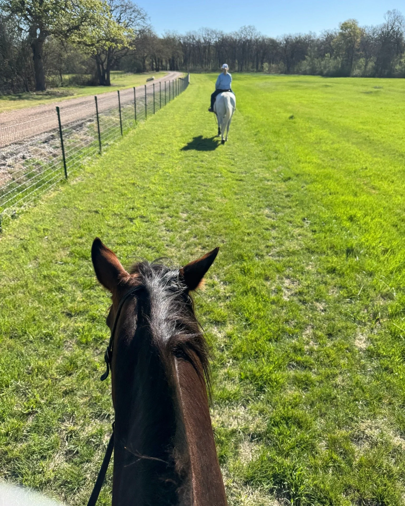 Big week around here.

Bee and I made our first ride back to the back forty with friends, worked through a few old challenges, and then took a bigger step than I expected&hellip; sending her off to training a little earlier than planned.

Growth is e
