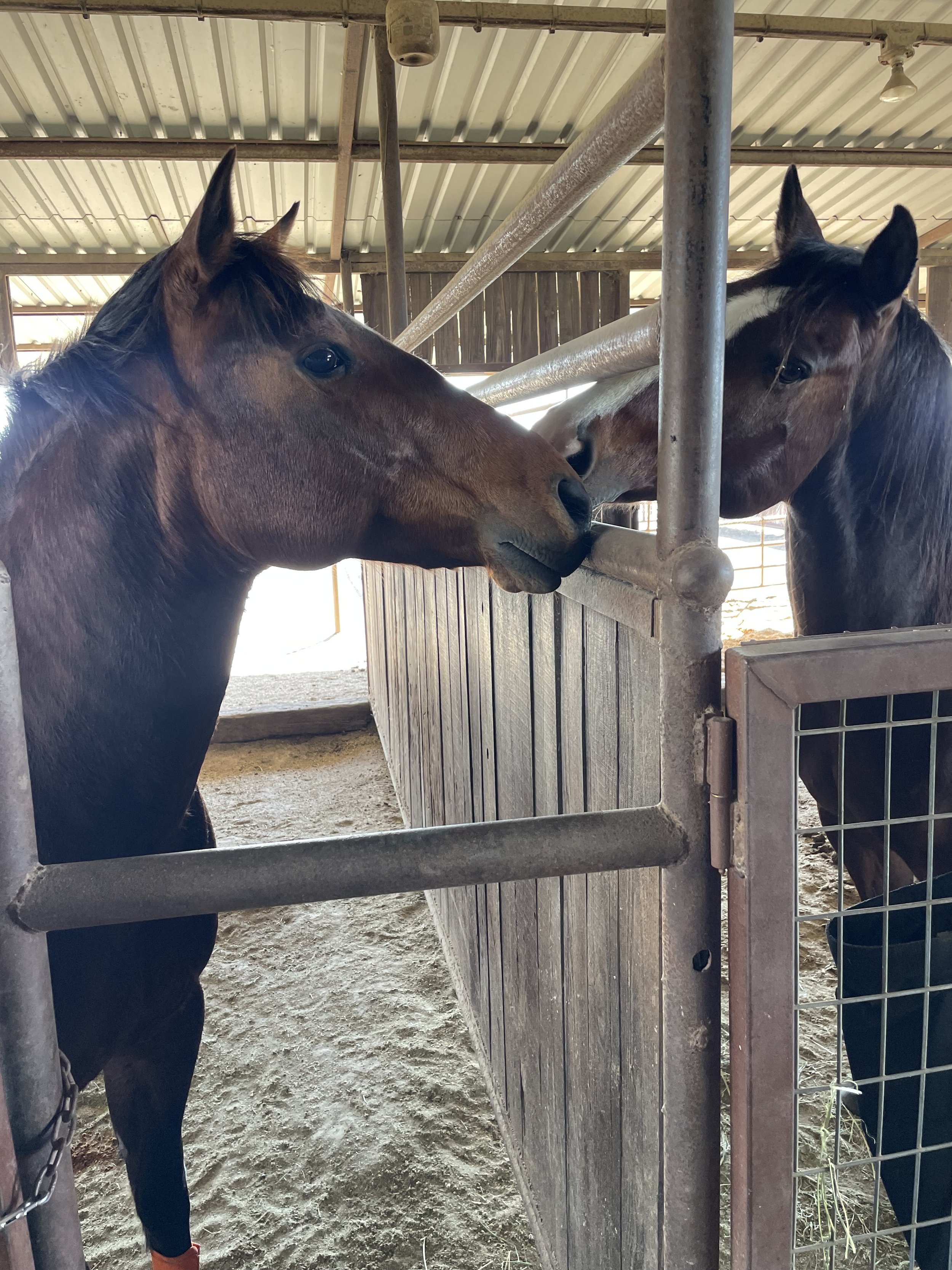 I don't kiss on the first date.