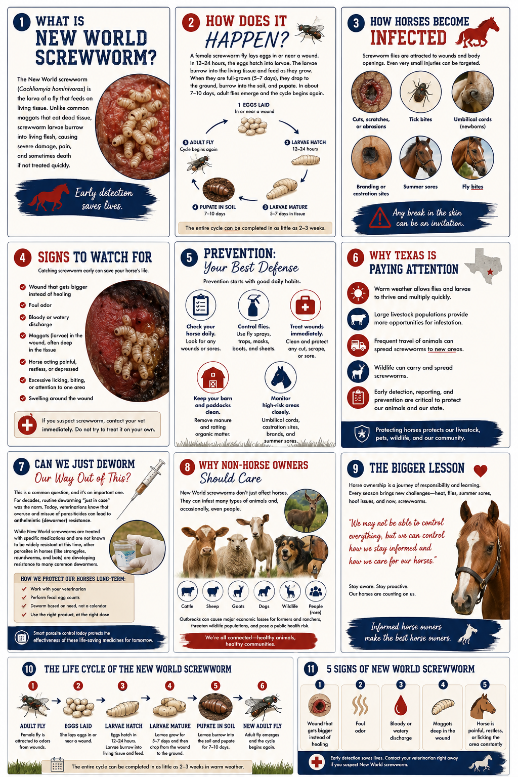 June 26, 2026: New World Screwworm - What Every Horse Owner Needs to Know