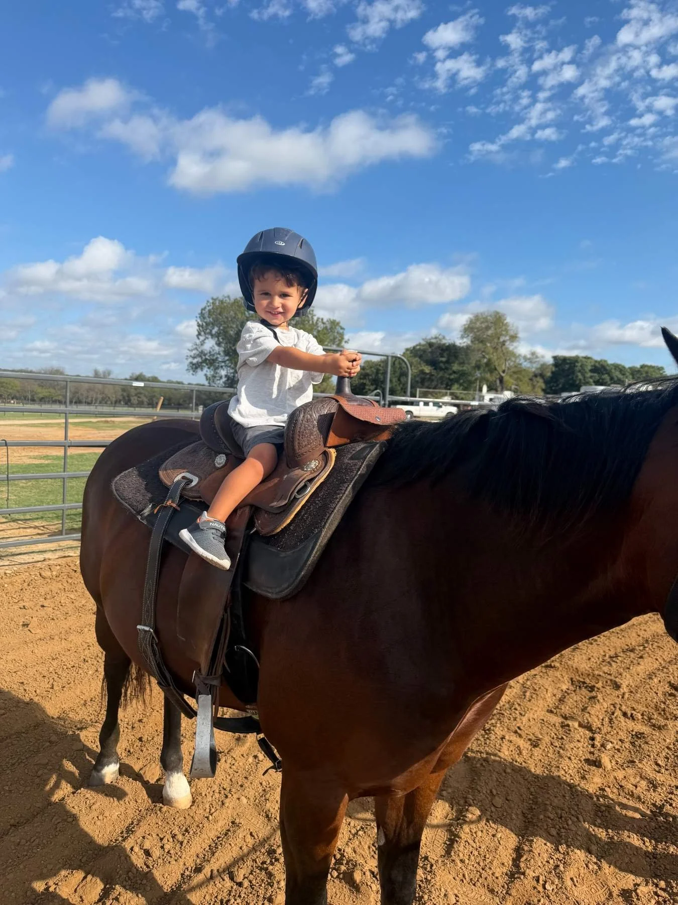 cullen-riding-bee-horse-barn.jpg