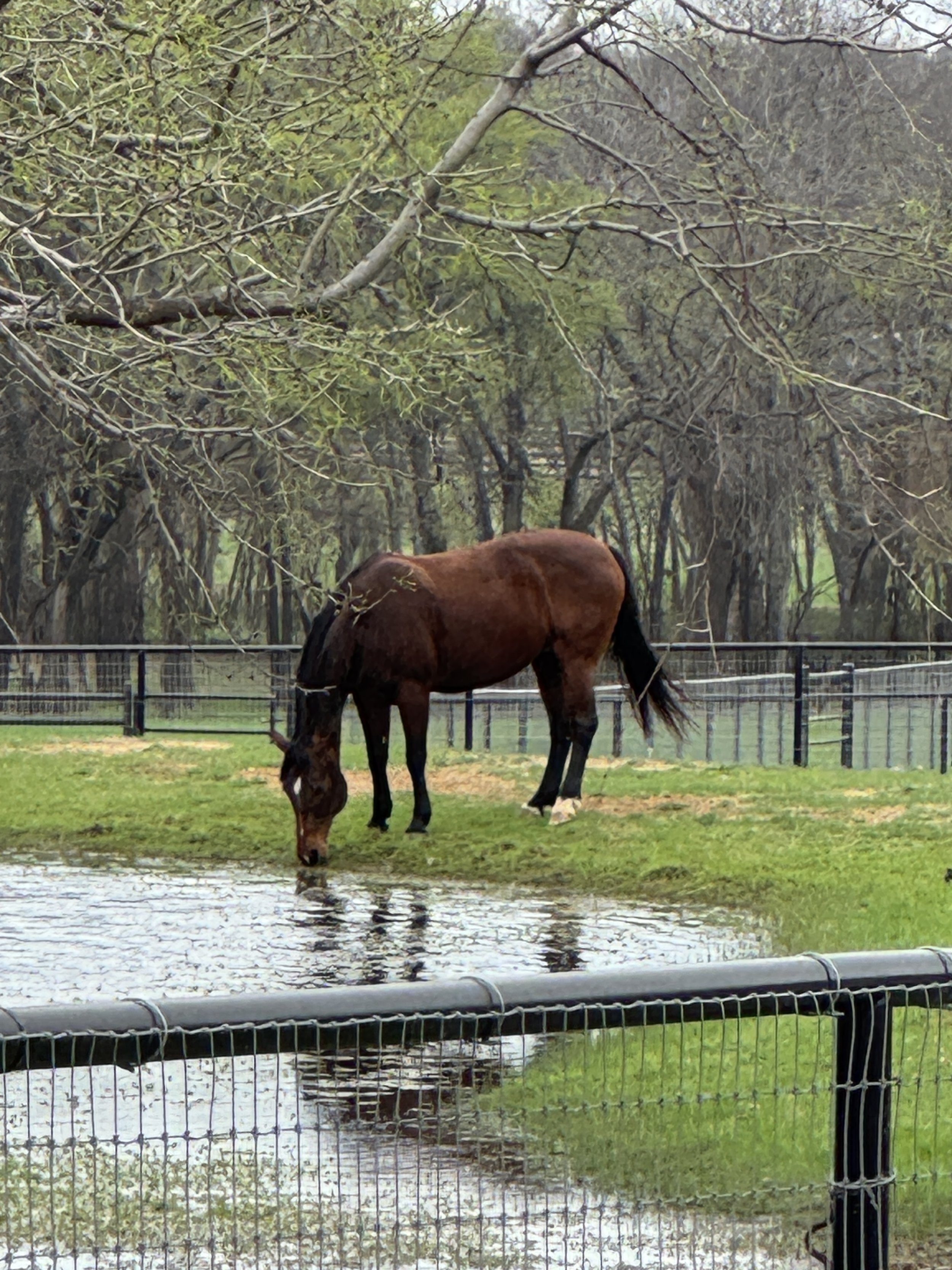 Luxury Troughs Ignored