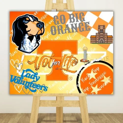 Go Big Orange school spirit canvas featuring Tennessee Volunteers mascot and colors.