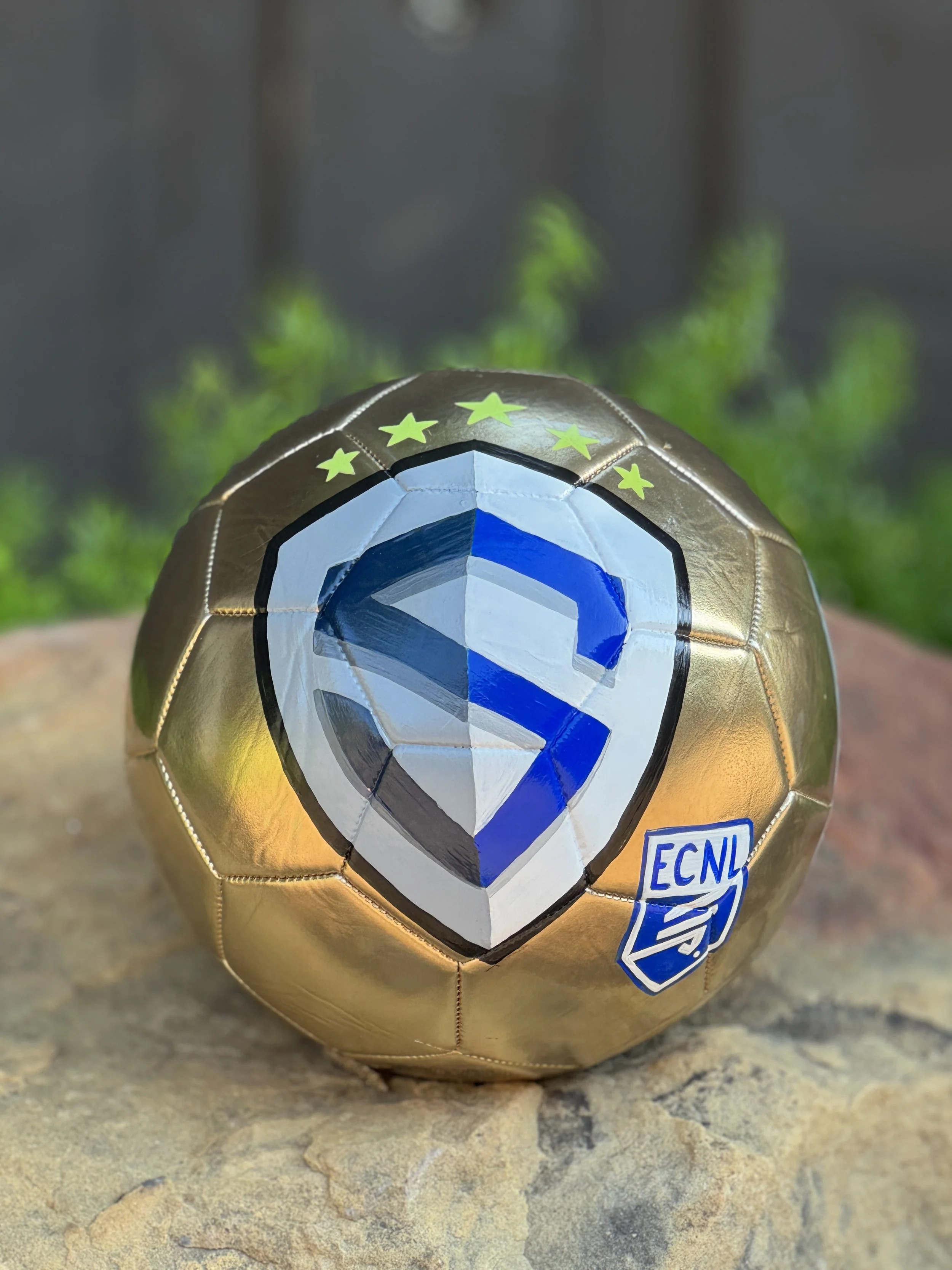 custom-painted-gold-soccer-ball-team-logo.jpg.jpeg