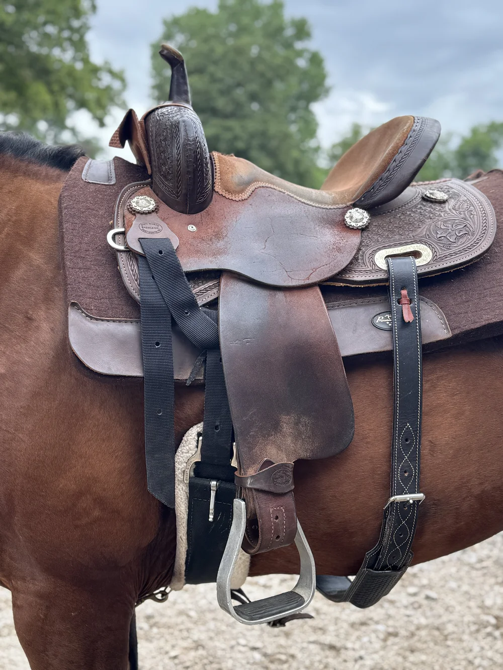Western saddle &amp; saddle pad