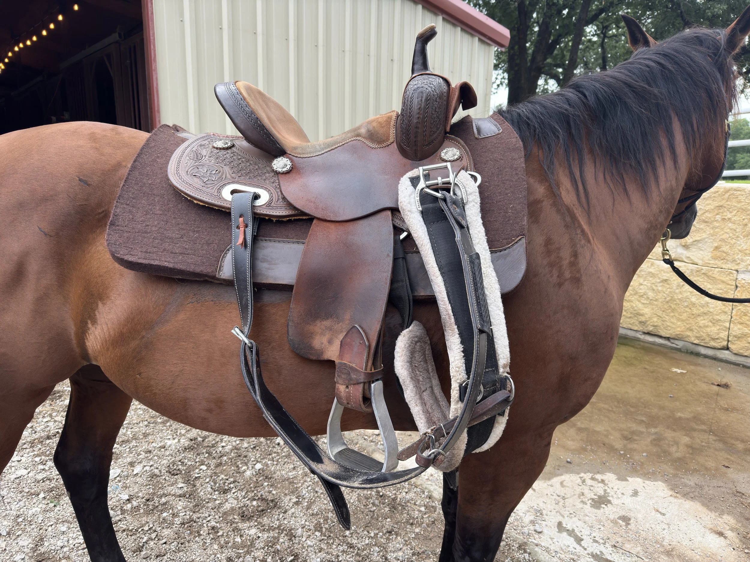 Stirrup