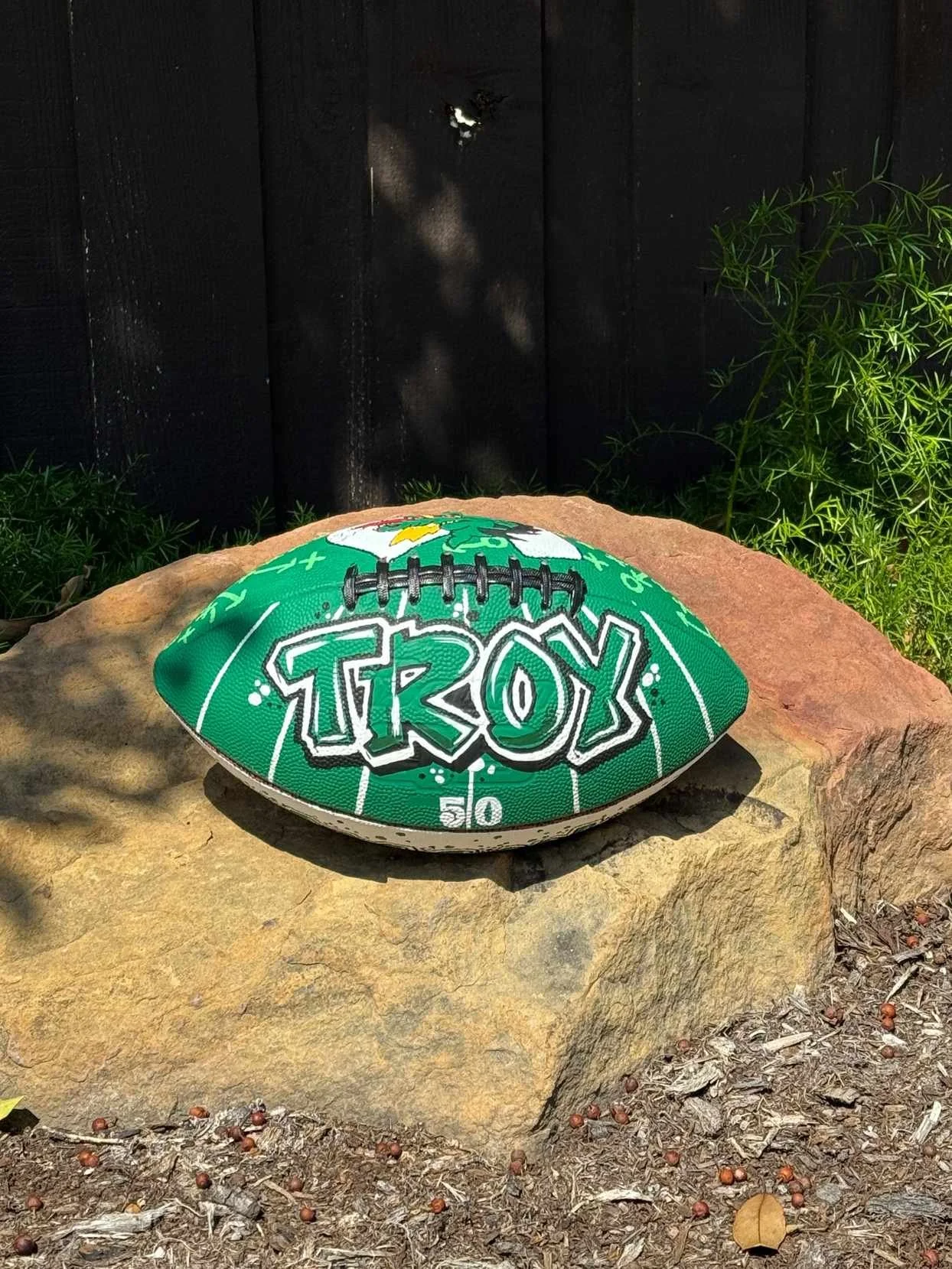 custom-painted-troy-football-senior-gift.jpg
