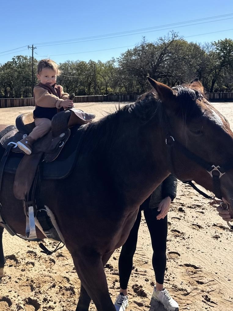 Bee's newest superfan.