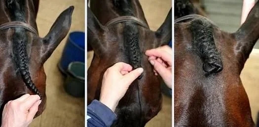 Horse hair braiding history, styles, and tips - a guide